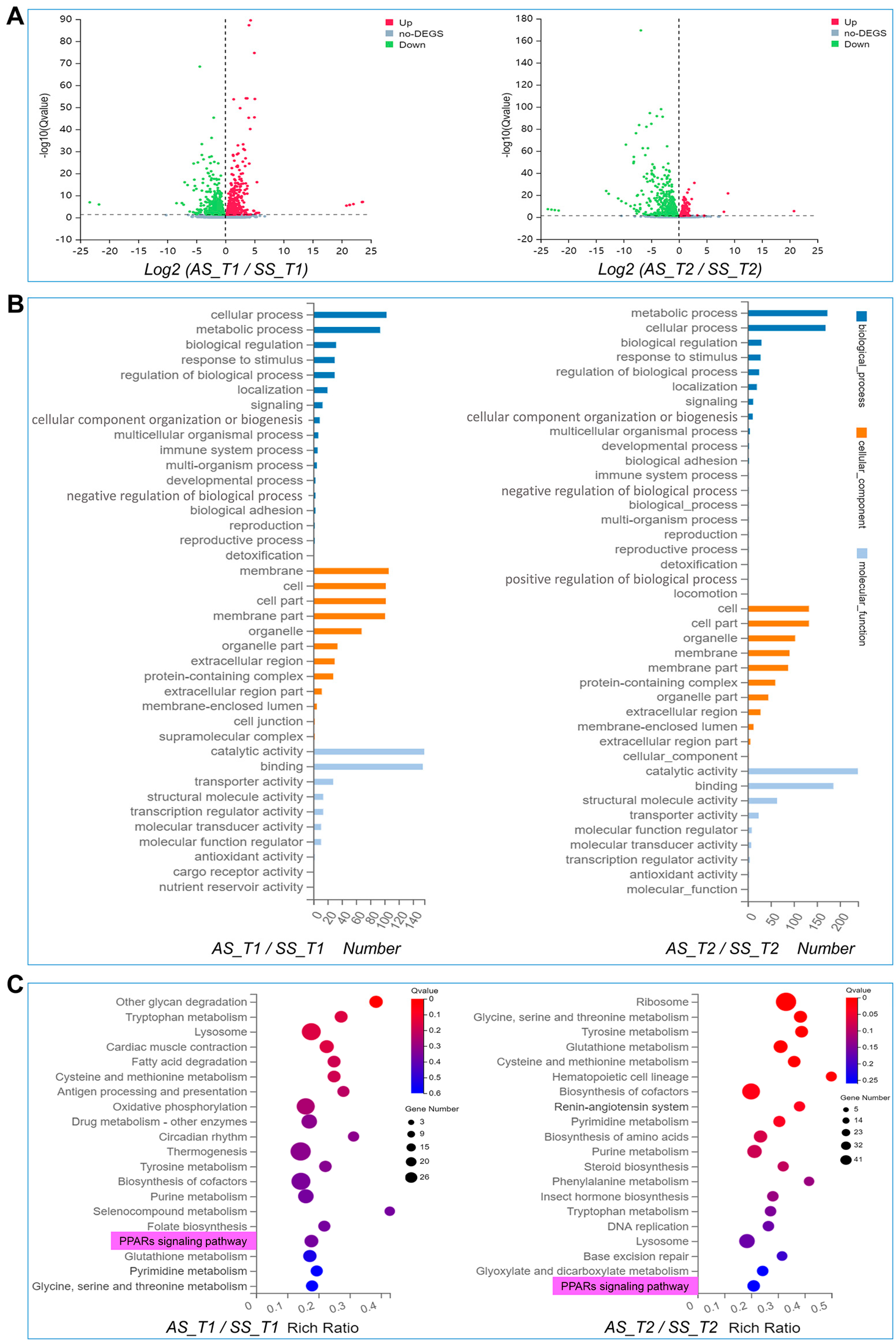 Biomolecules 15 00492 g003 Biomolecules 15 00492 g003