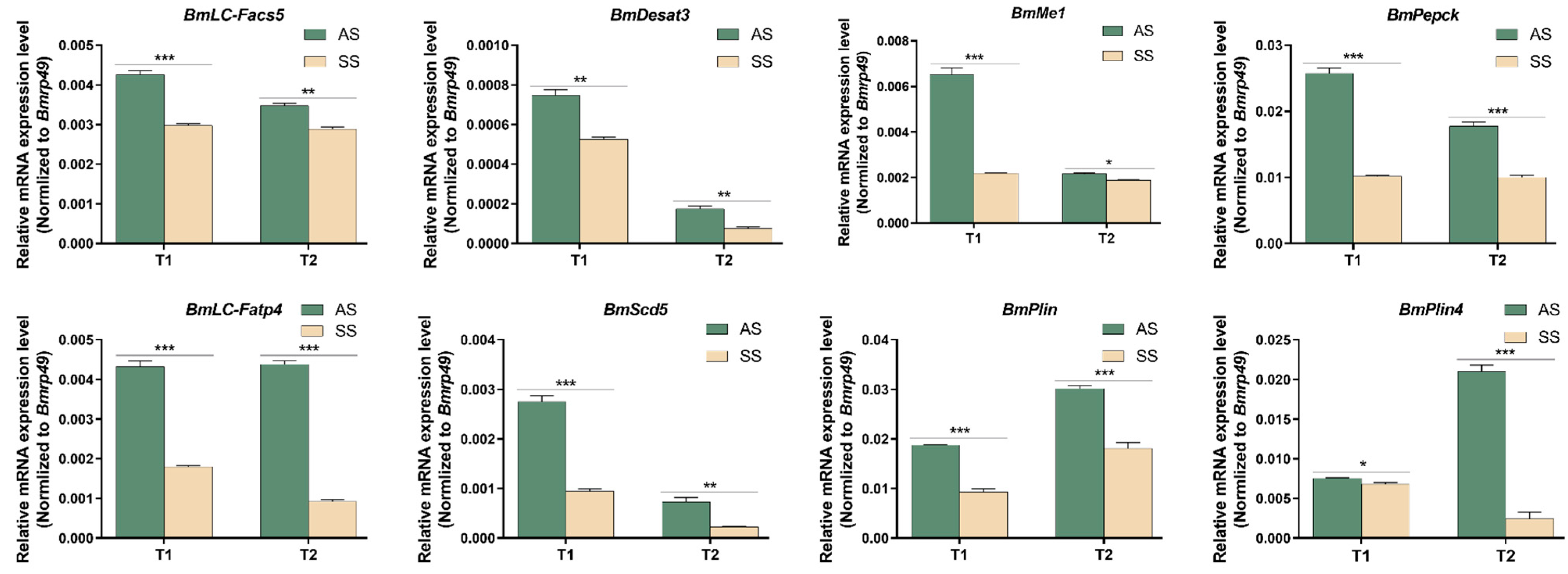 Biomolecules 15 00492 g005 Biomolecules 15 00492 g005