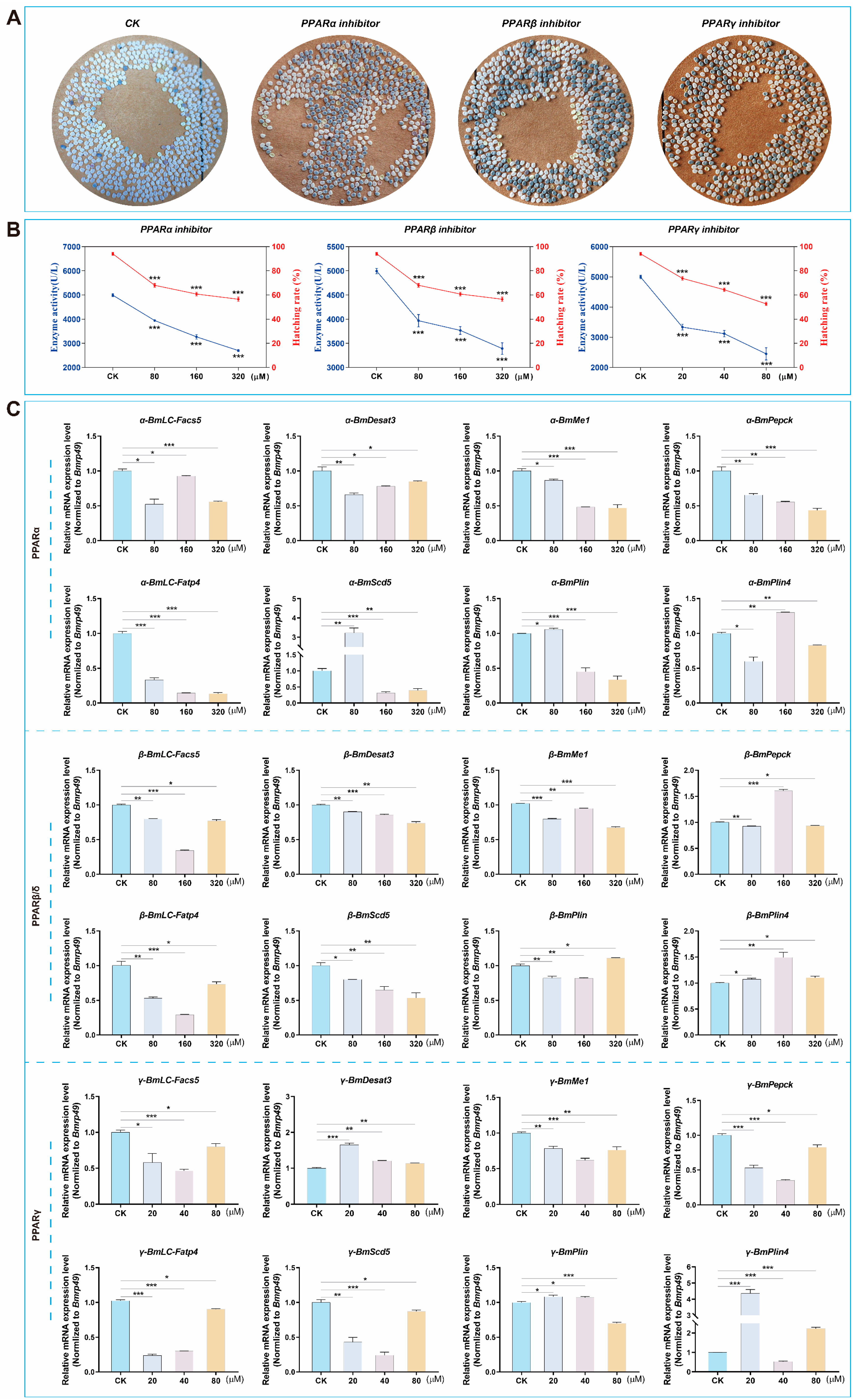 Biomolecules 15 00492 g007 Biomolecules 15 00492 g007