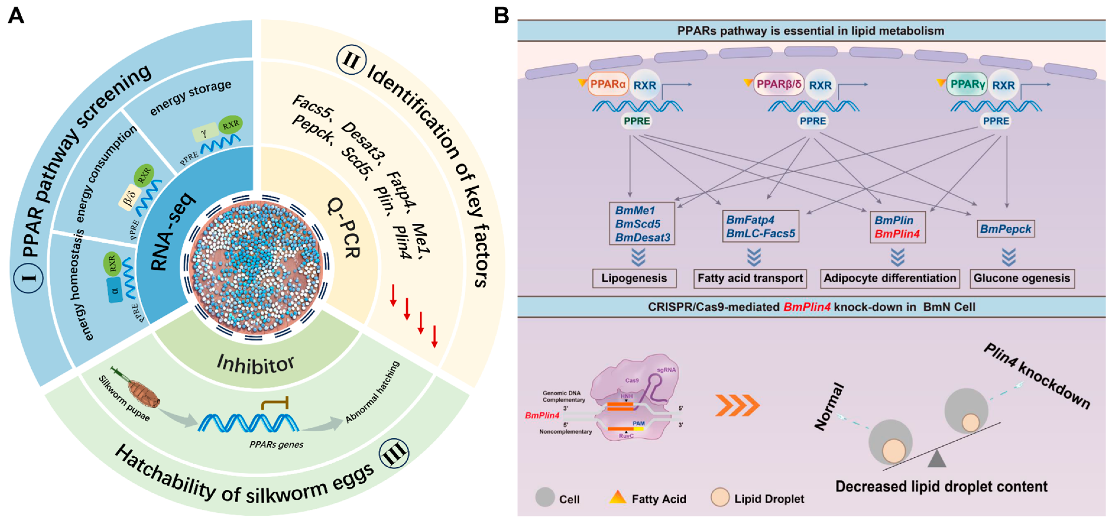 Biomolecules 15 00492 g009 Biomolecules 15 00492 g009