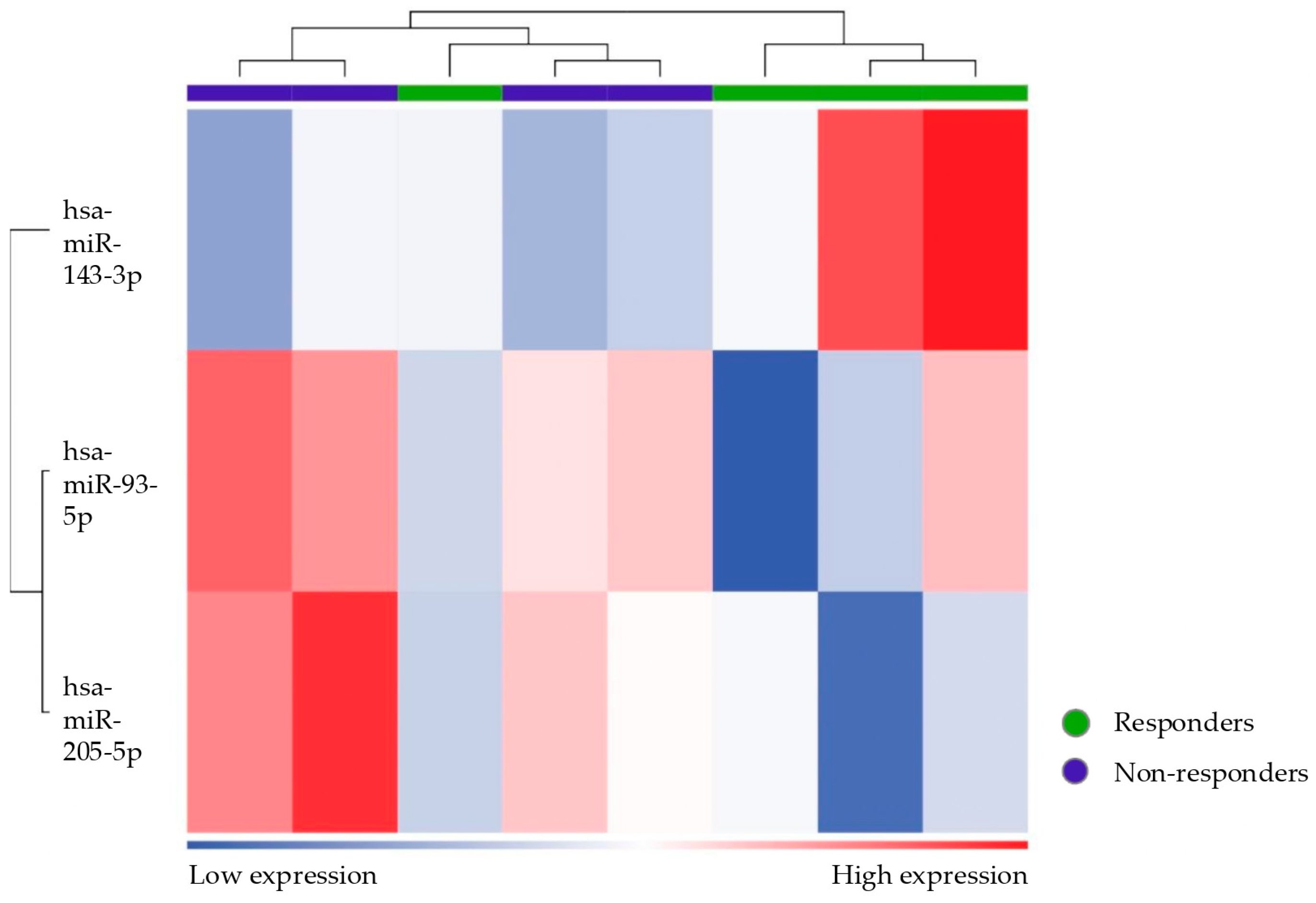 Biomolecules 15 00493 g013