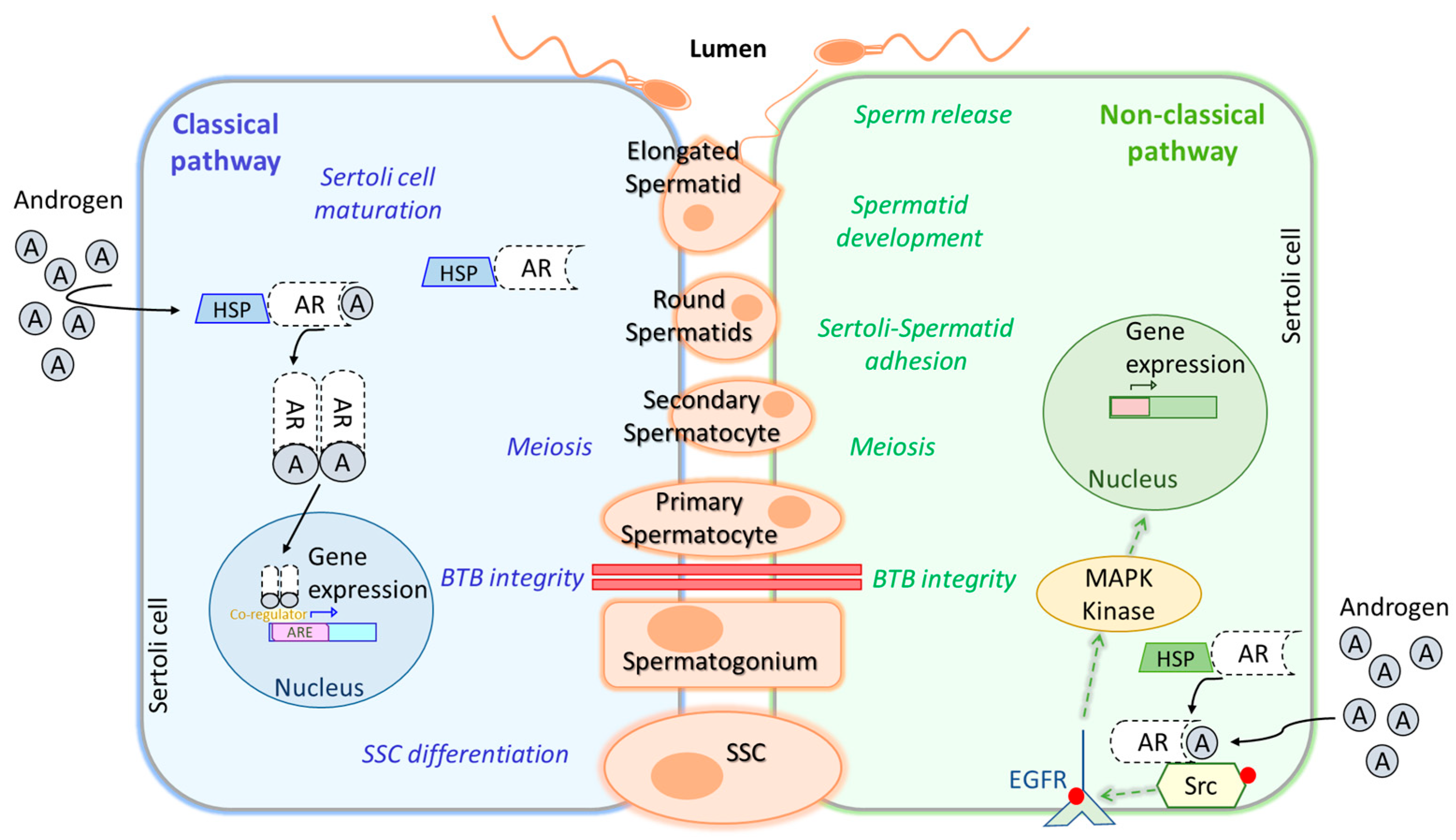 Biomolecules 15 00500 g003 Biomolecules 15 00500 g003