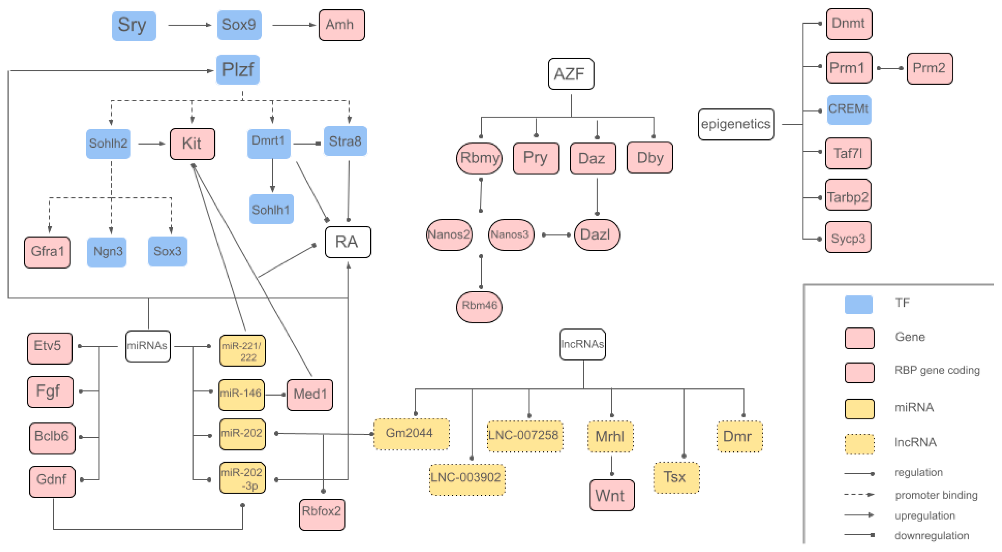 Biomolecules 15 00500 g004 Biomolecules 15 00500 g004