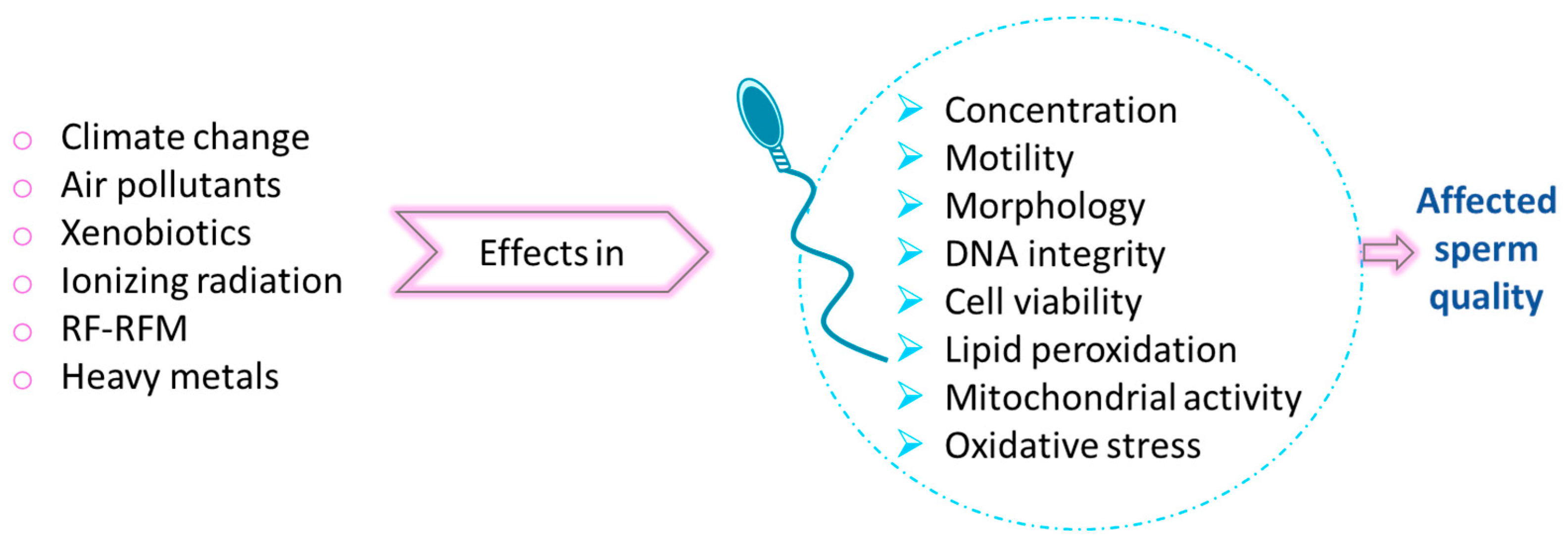 Biomolecules 15 00500 g006 Biomolecules 15 00500 g006