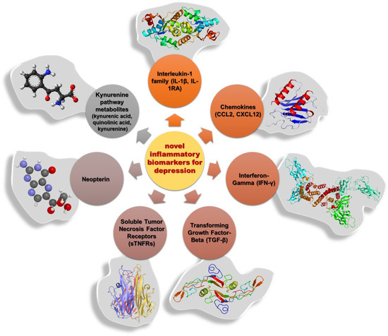 Neuroinflammation—A Crucial Factor in the Pathophysiology of