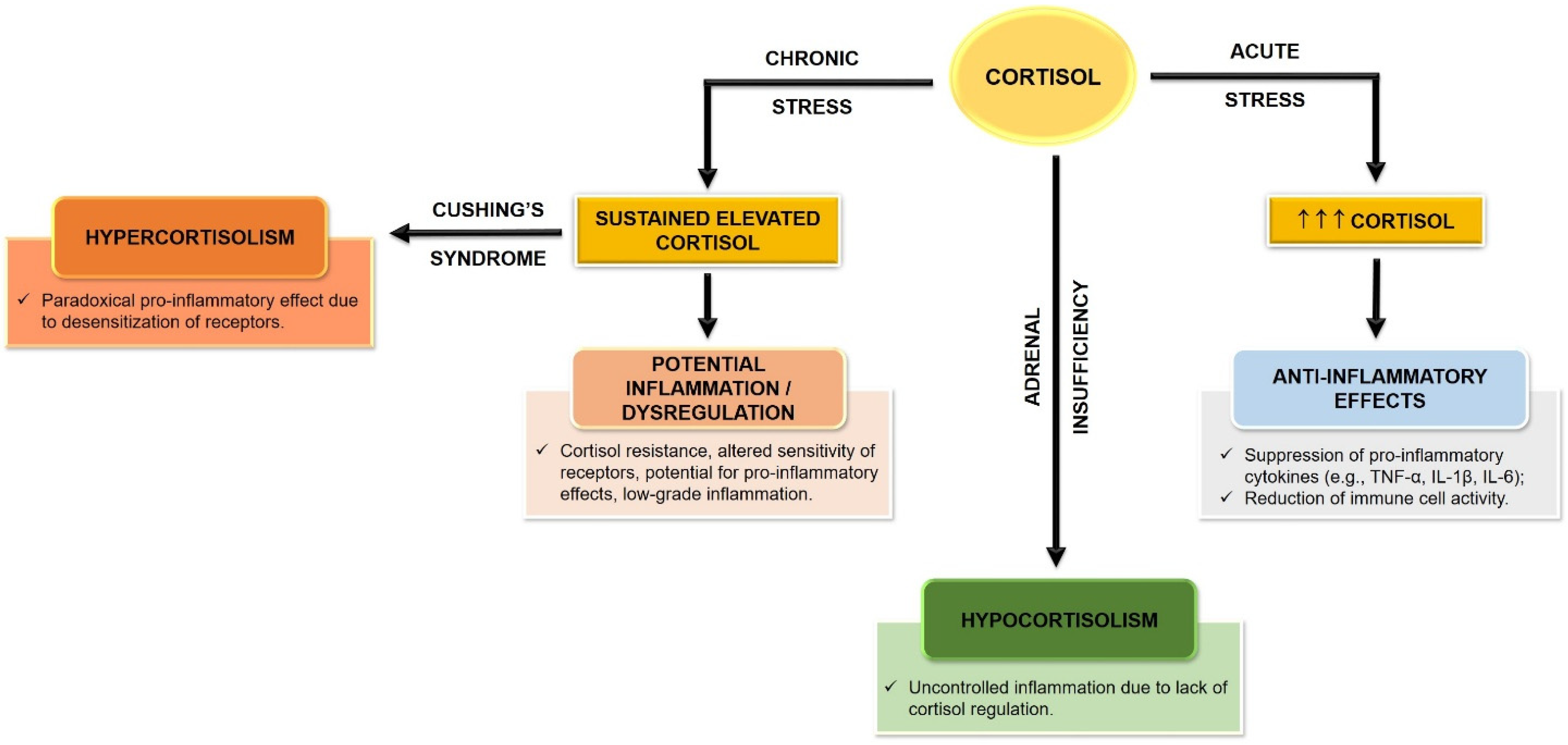 Y Neuroinflammation—A Crucial Factor in the Pathophysiology of