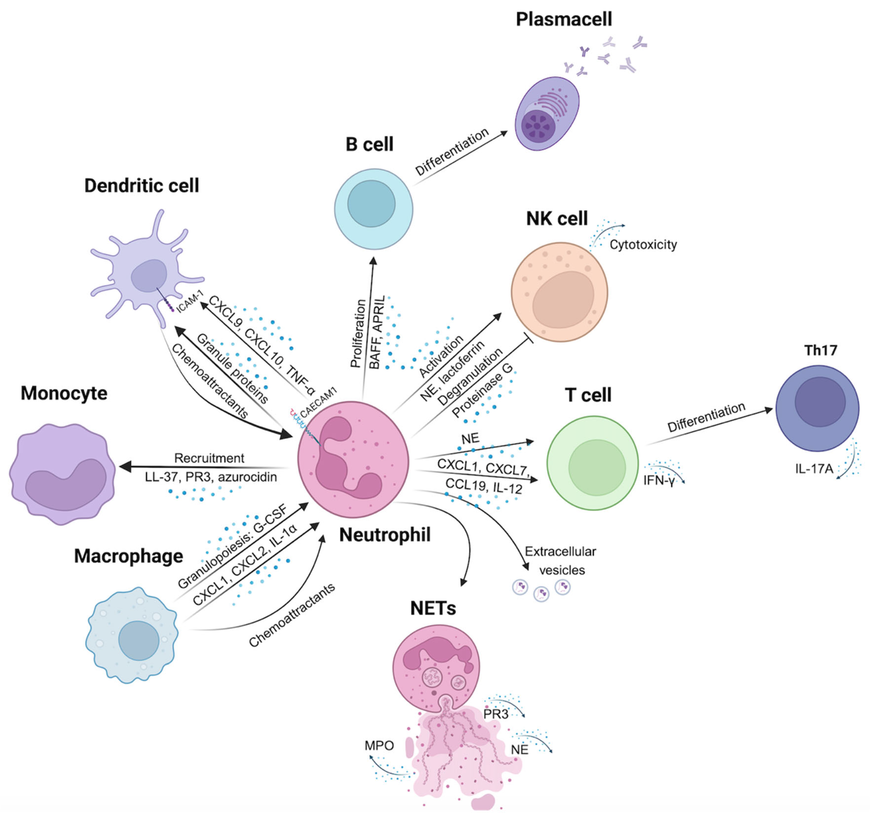 Biomolecules 15 00505 g001