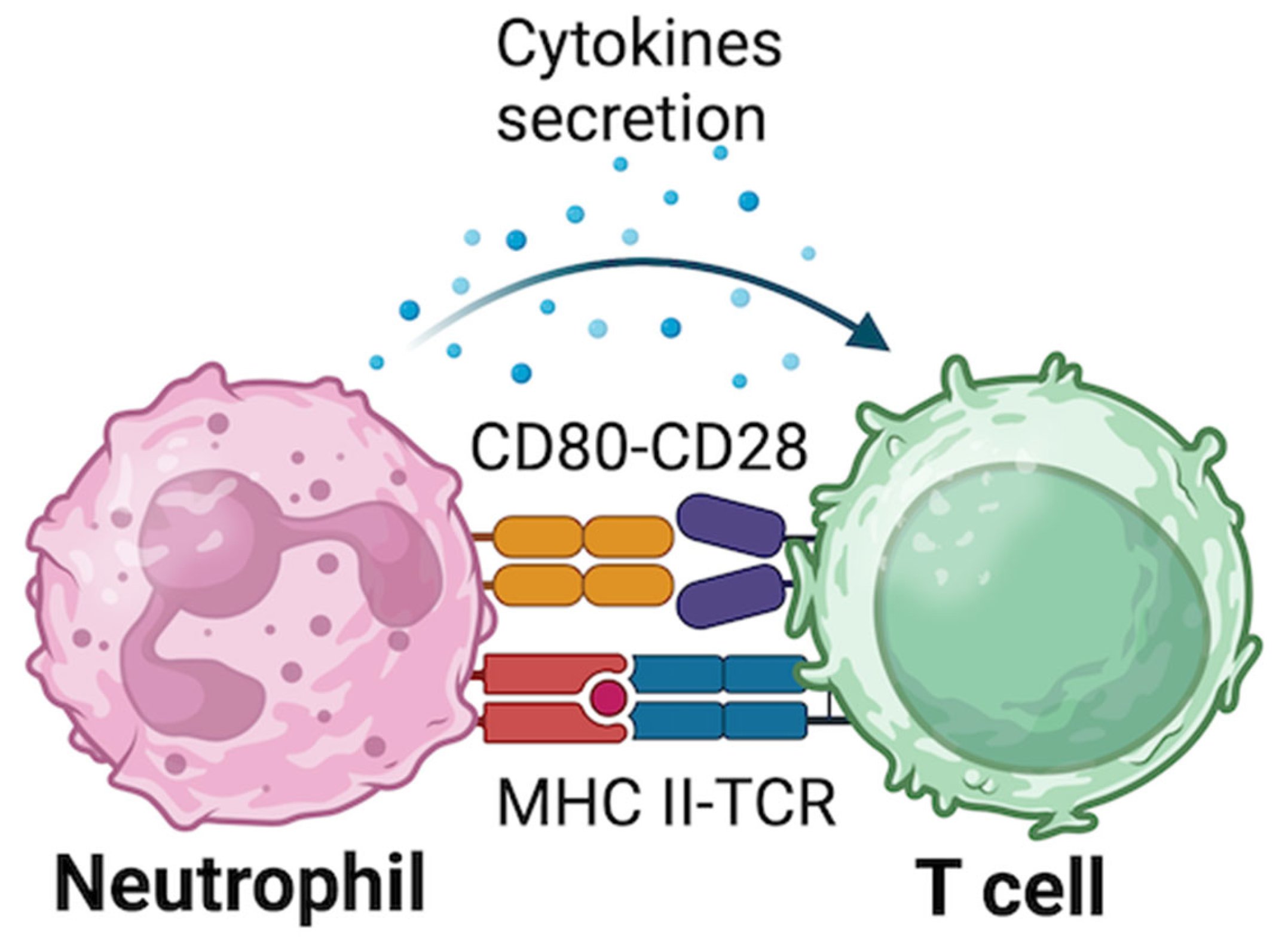 Biomolecules 15 00505 g002