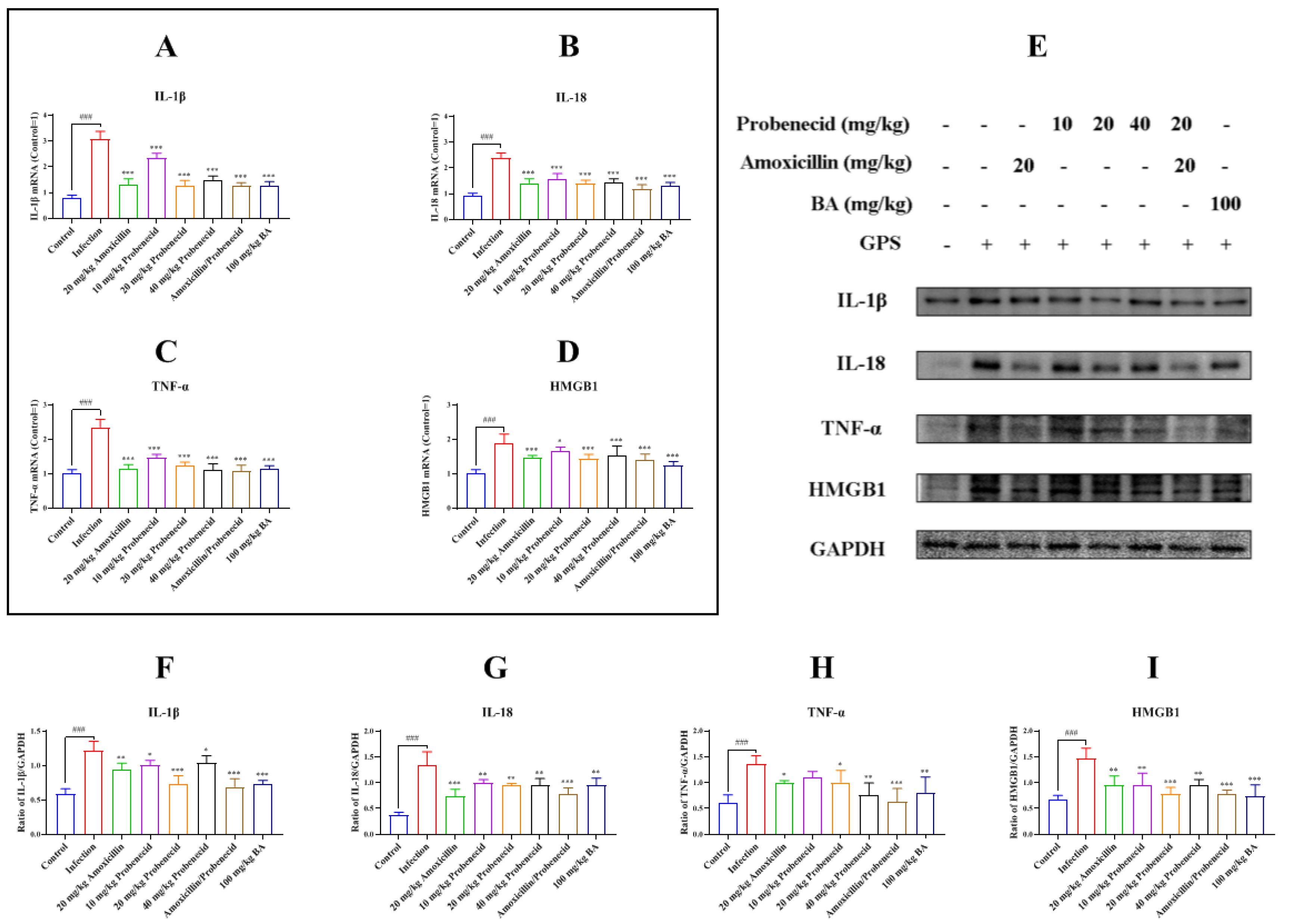 Biomolecules 15 00507 g002