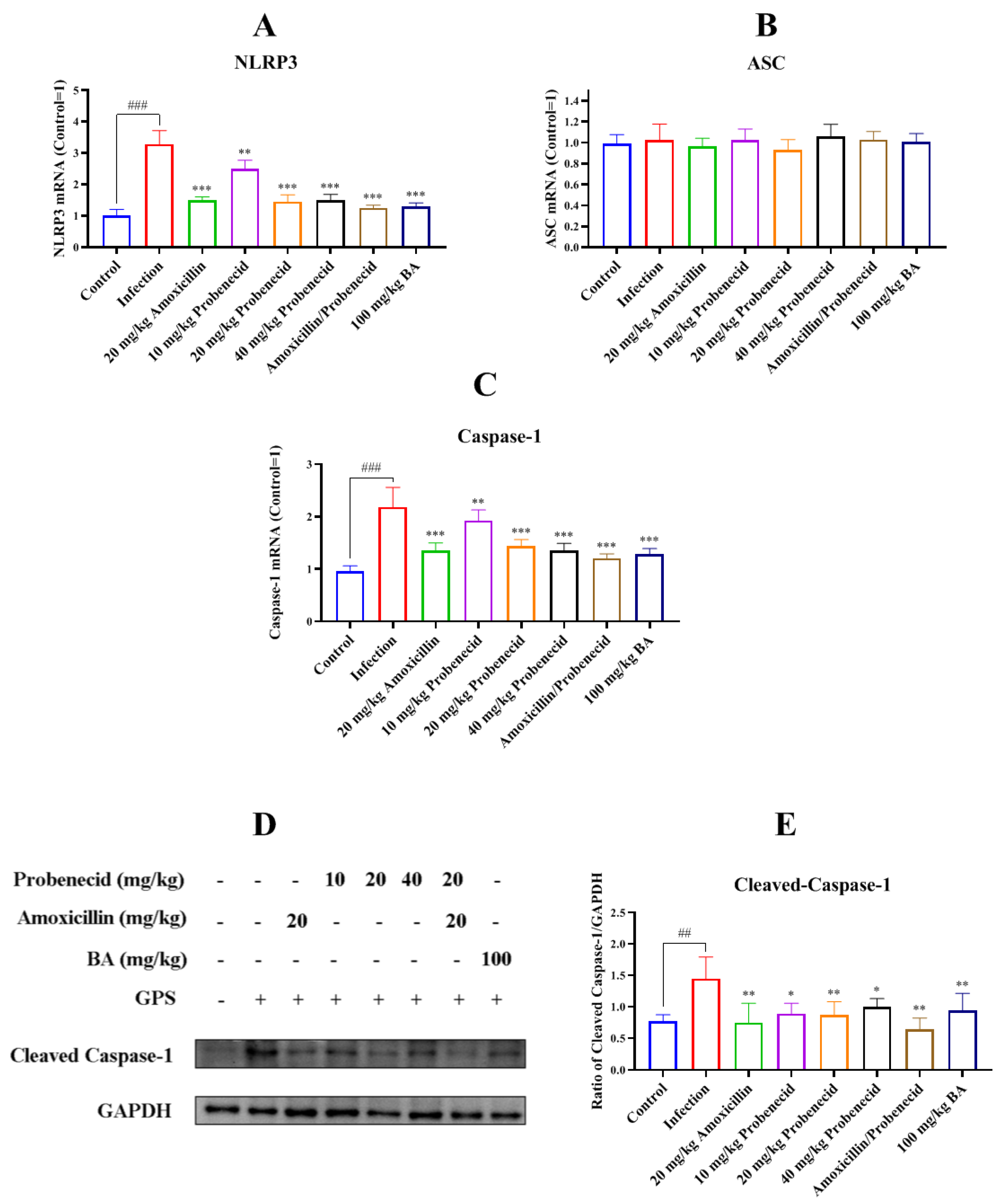 Biomolecules 15 00507 g007