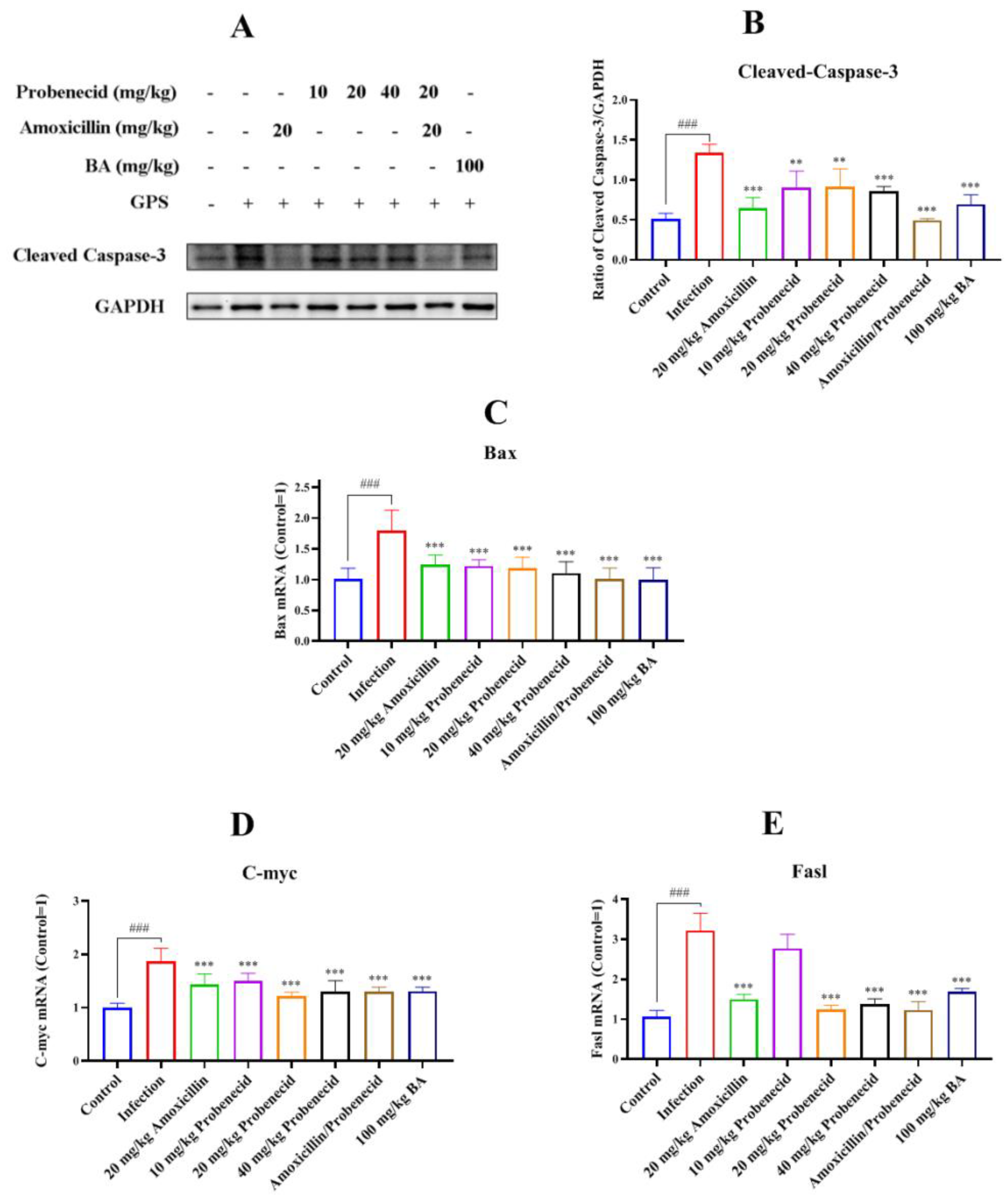 Biomolecules 15 00507 g008