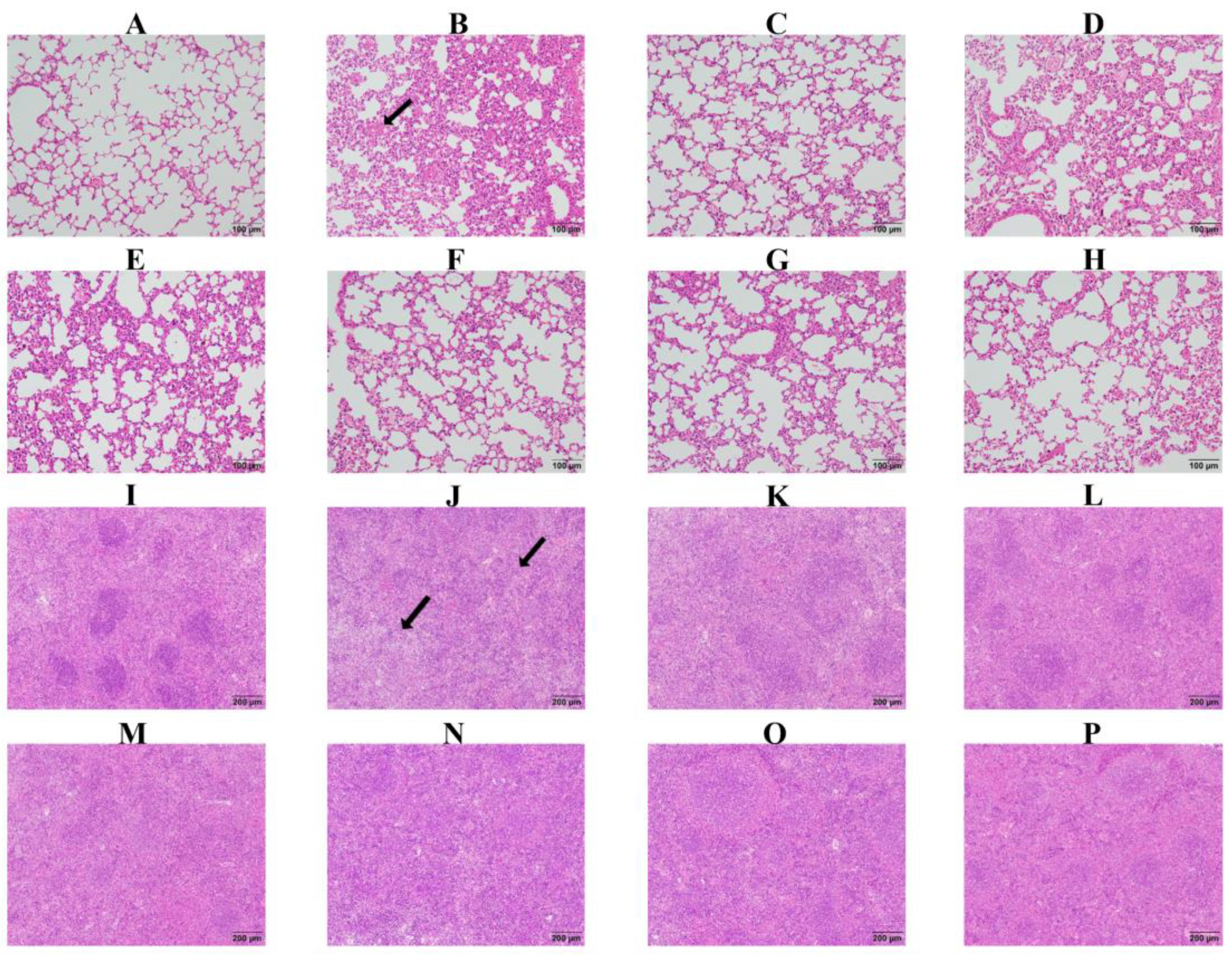 Biomolecules 15 00507 g009