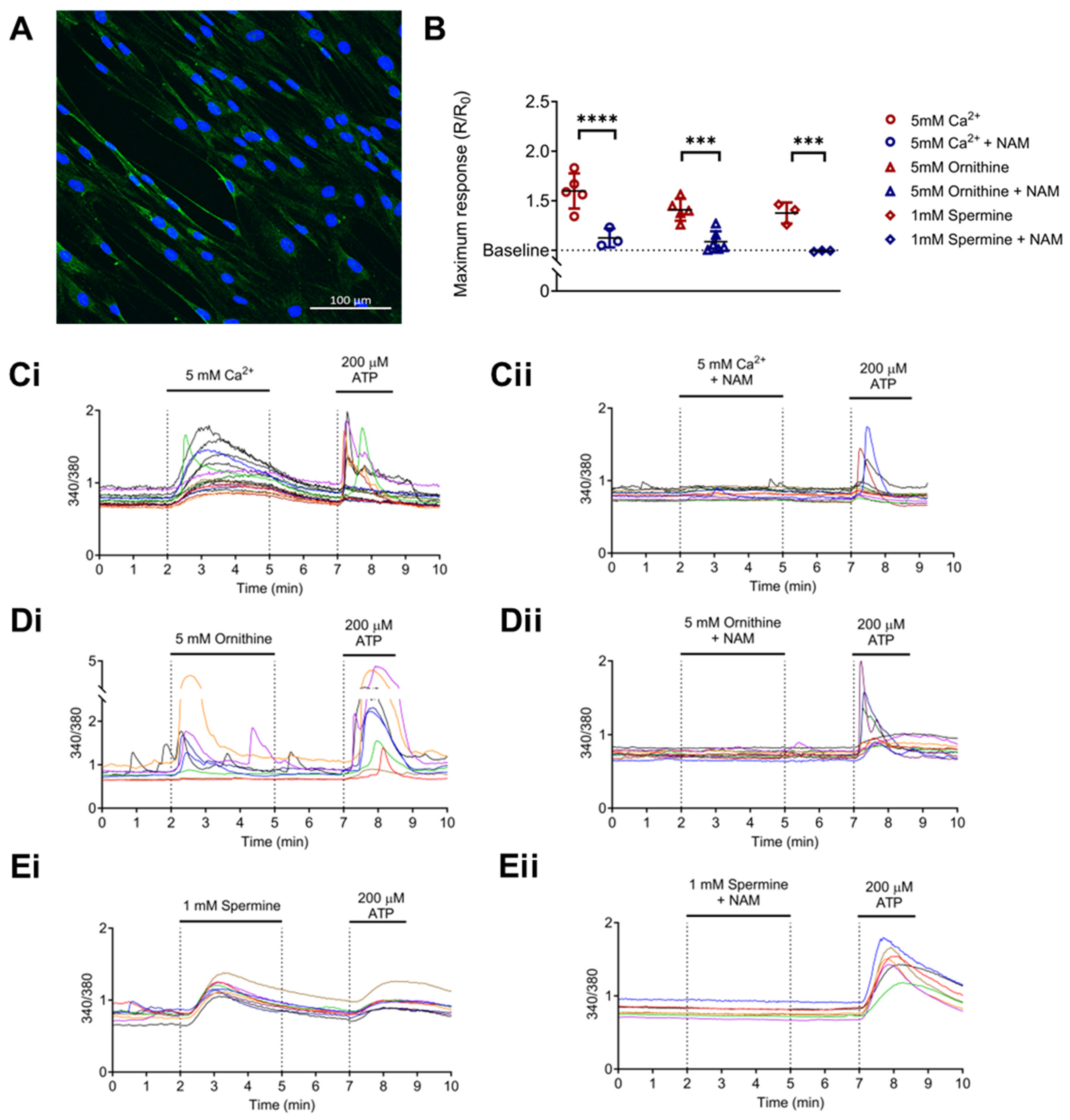Biomolecules 15 00509 g002