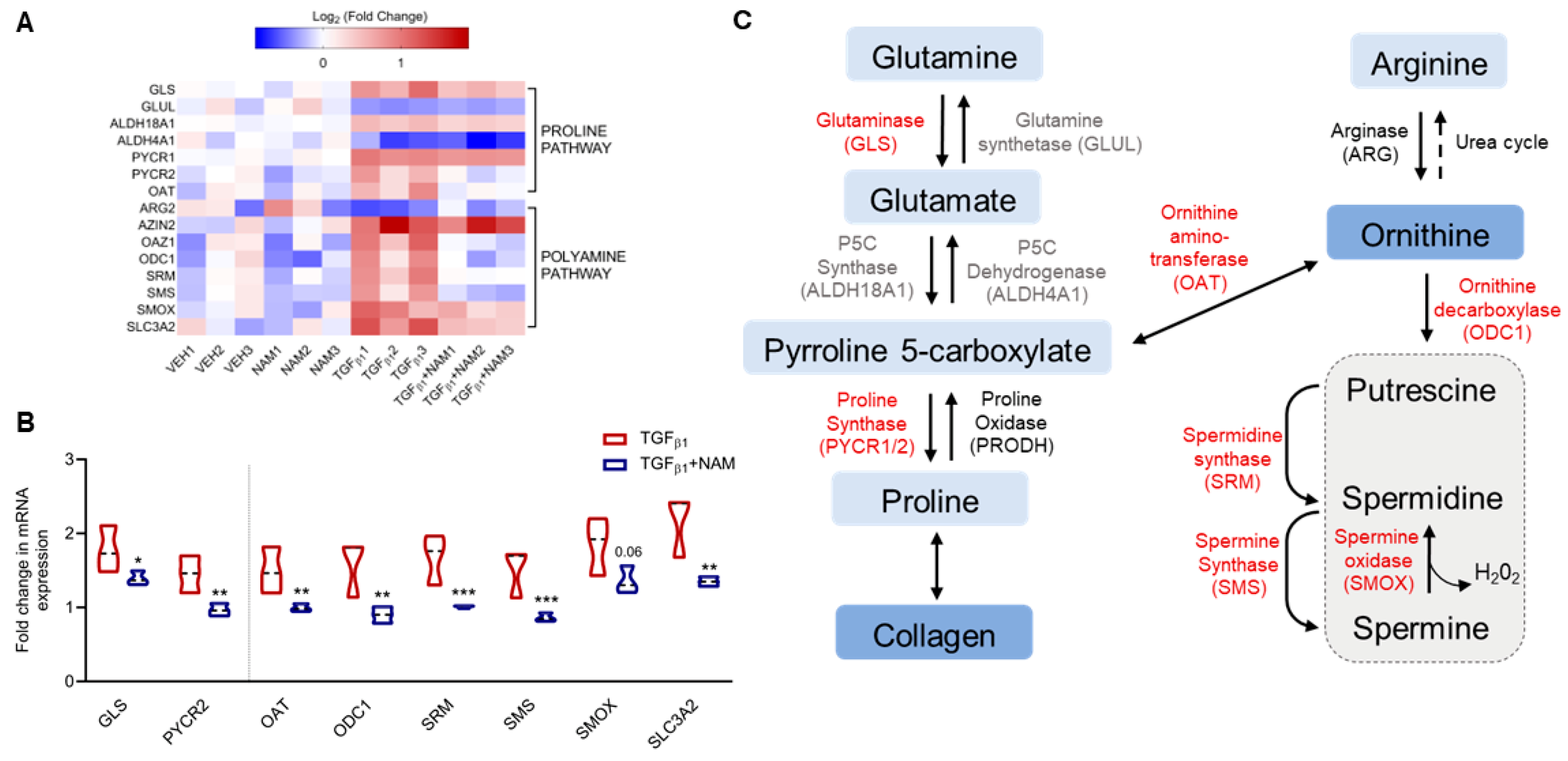 Biomolecules 15 00509 g004
