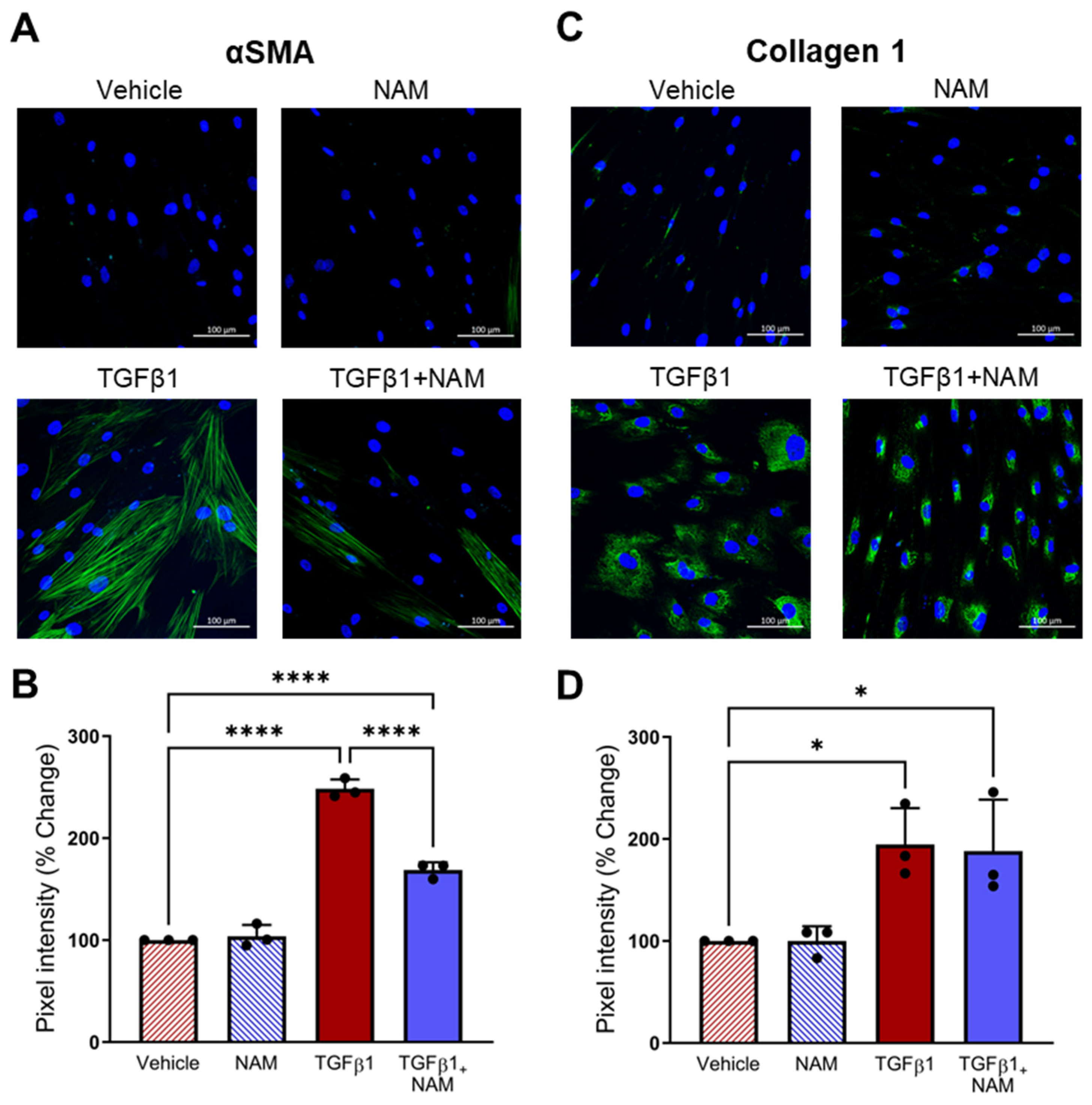 Biomolecules 15 00509 g008