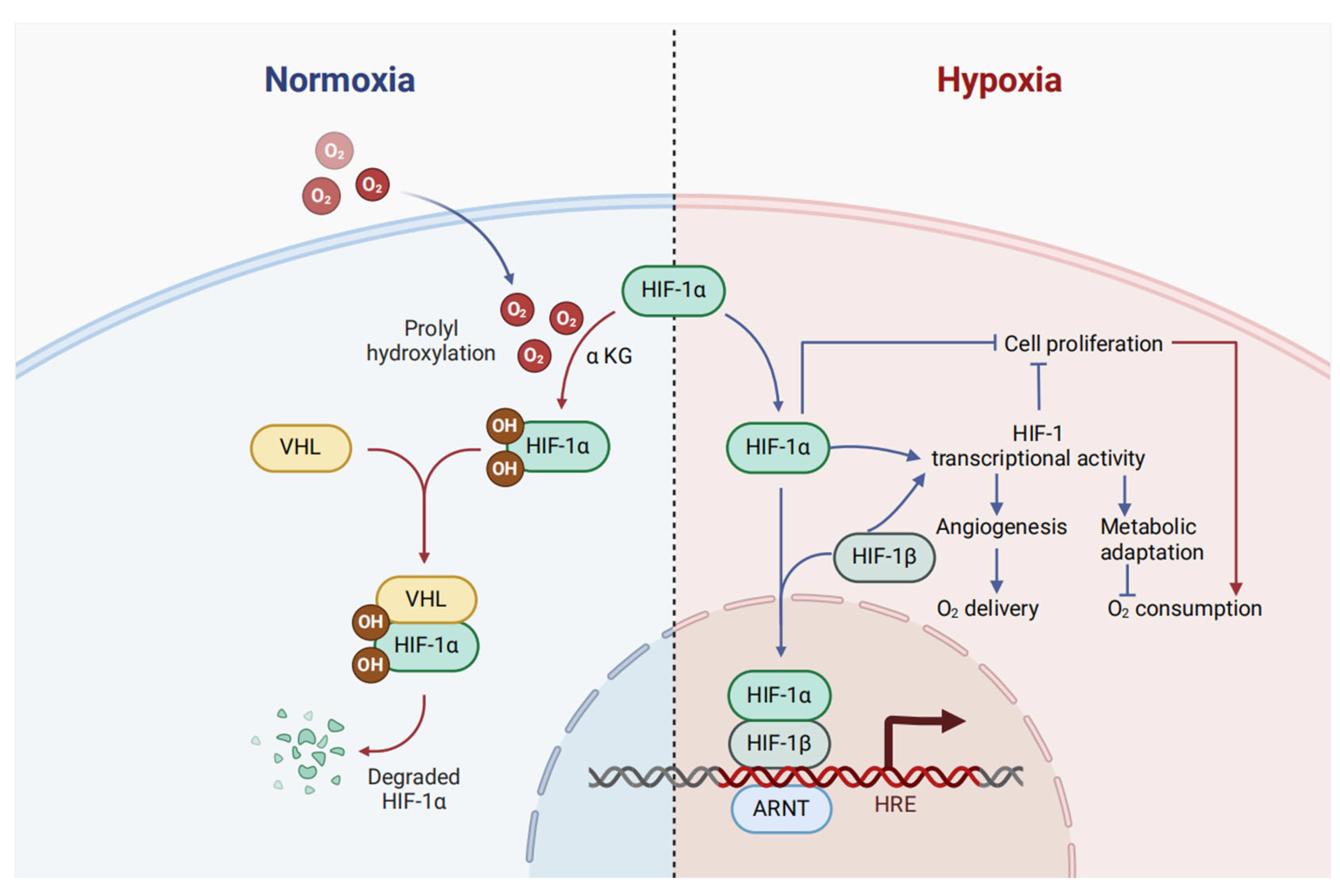 Biomolecules 15 00510 g001