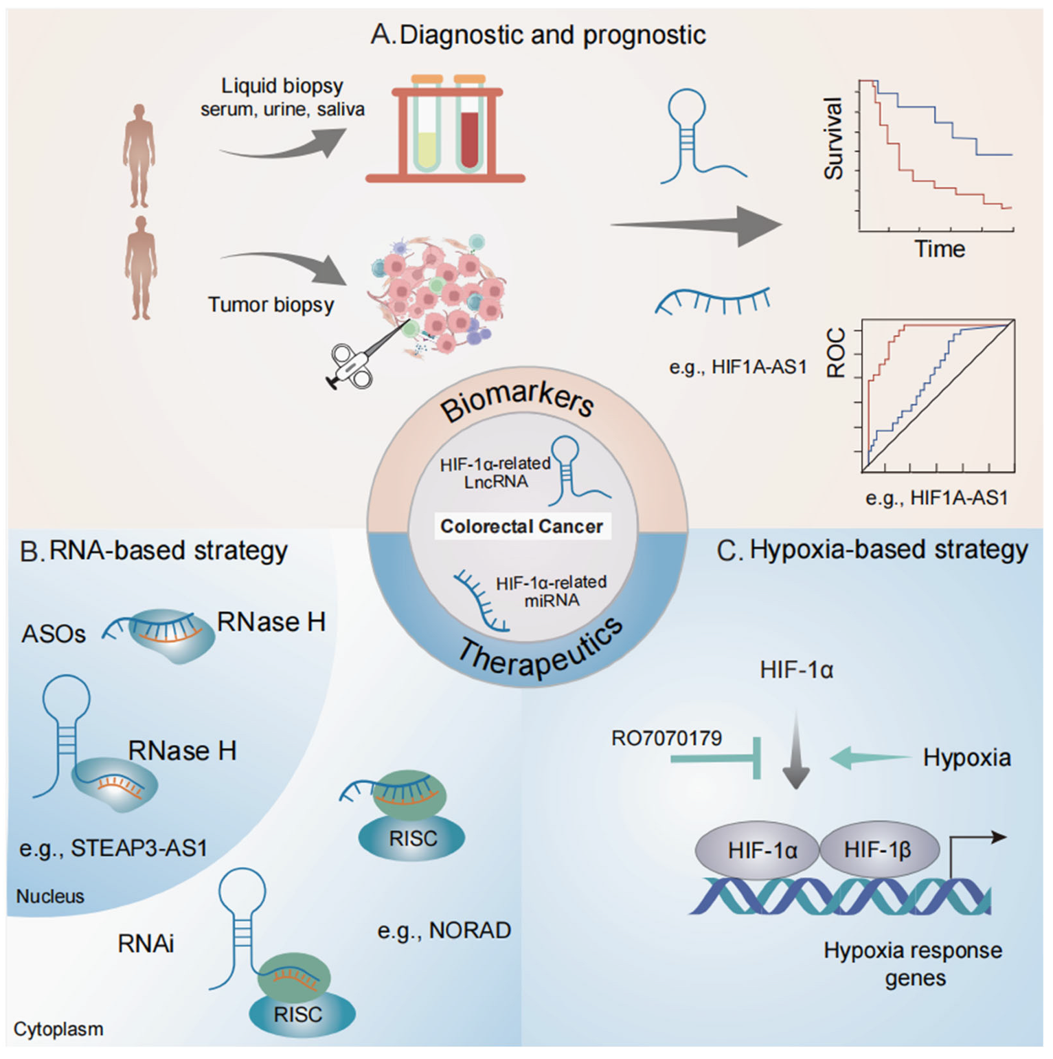 Biomolecules 15 00510 g003