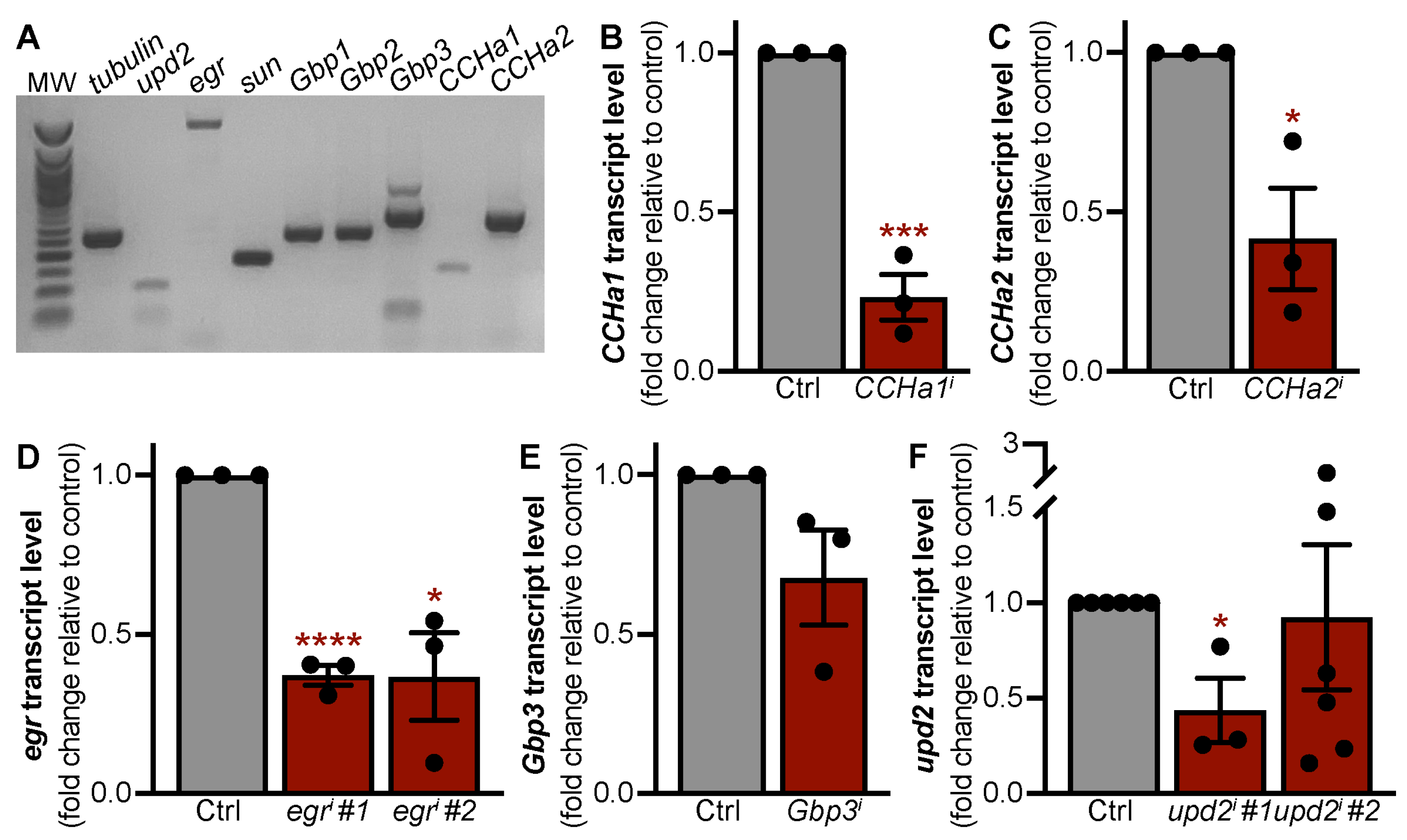 Biomolecules 15 00513 g001
