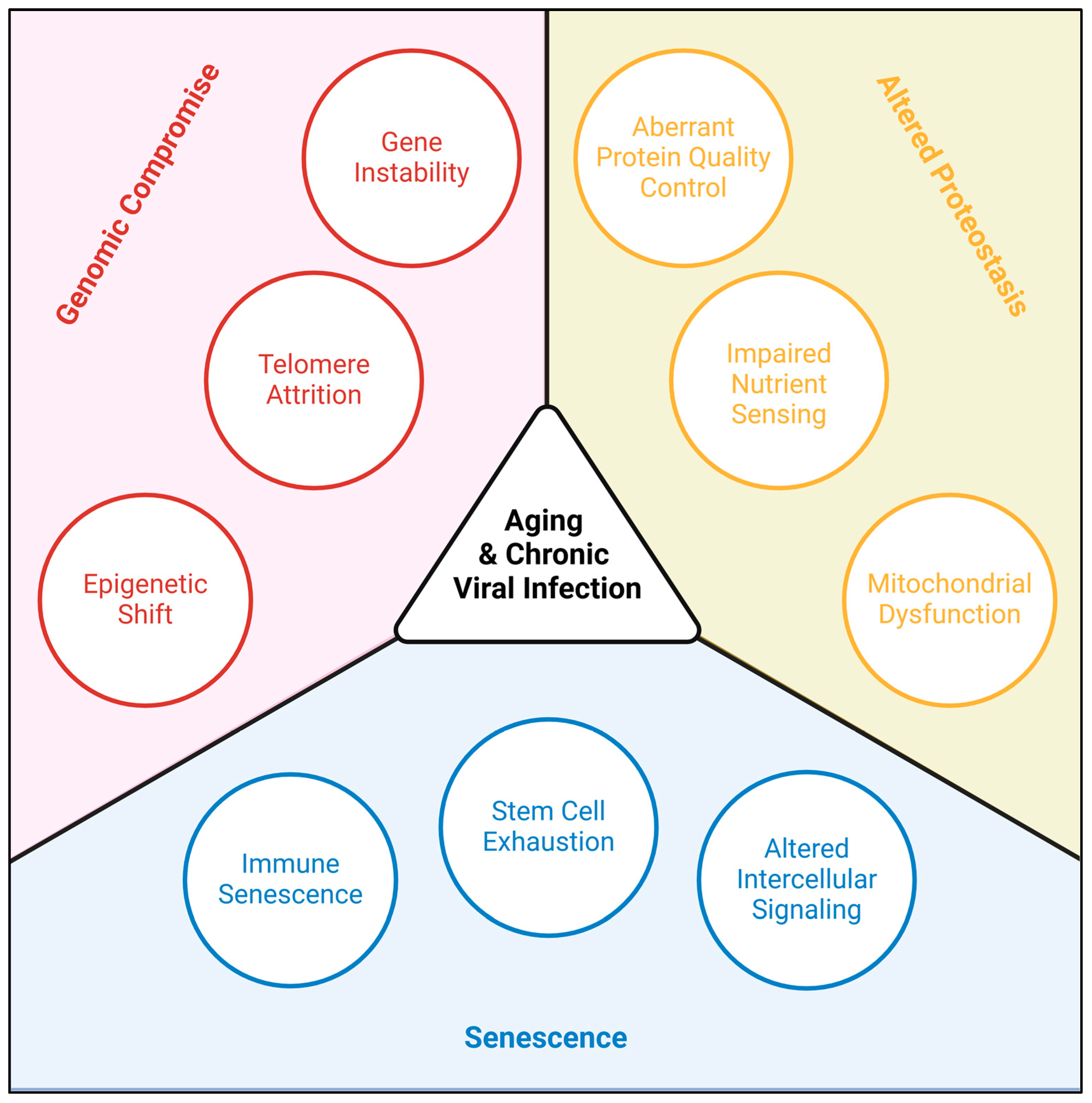 Biomolecules 15 00514 g001