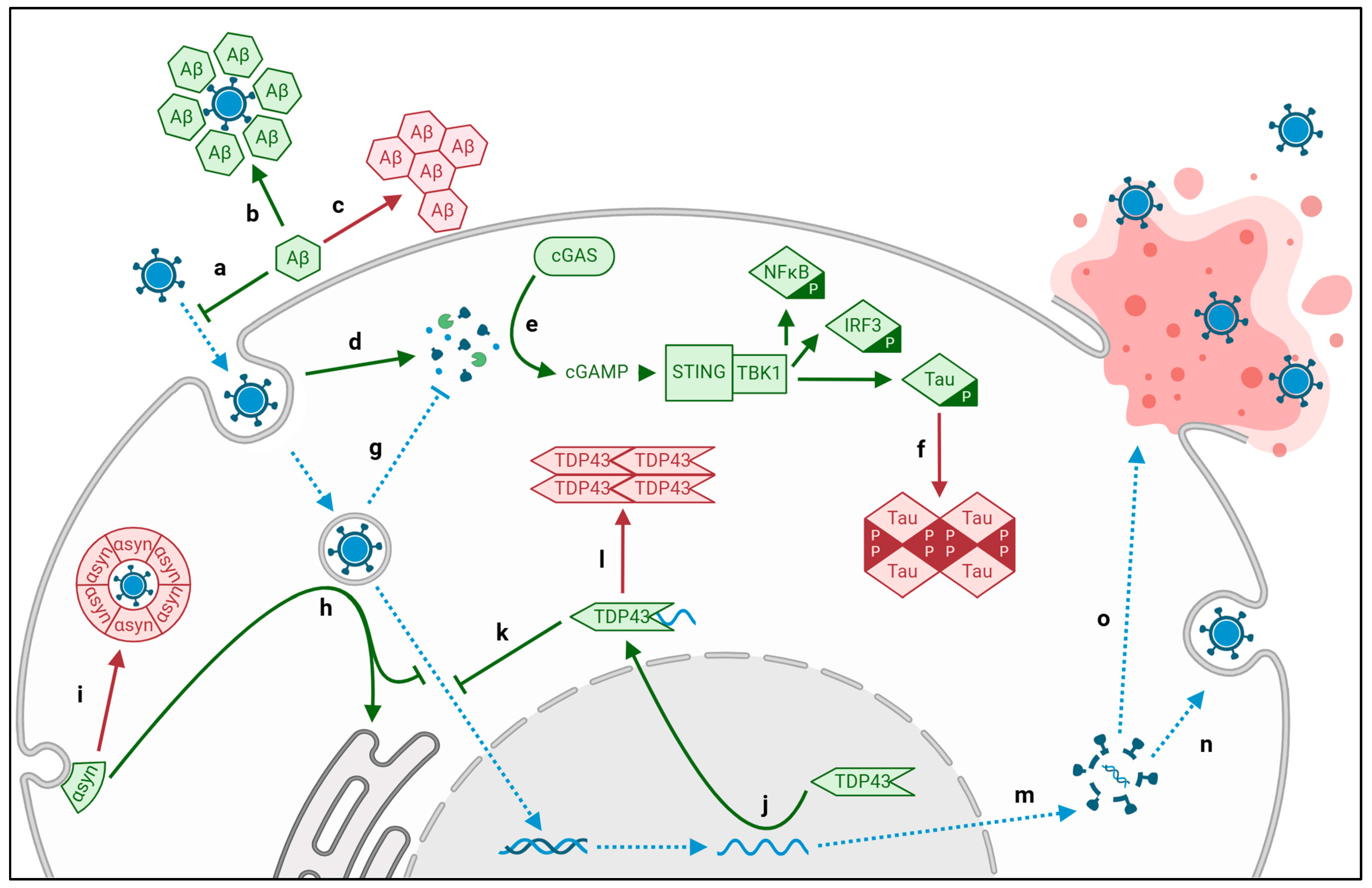 Biomolecules 15 00514 g002