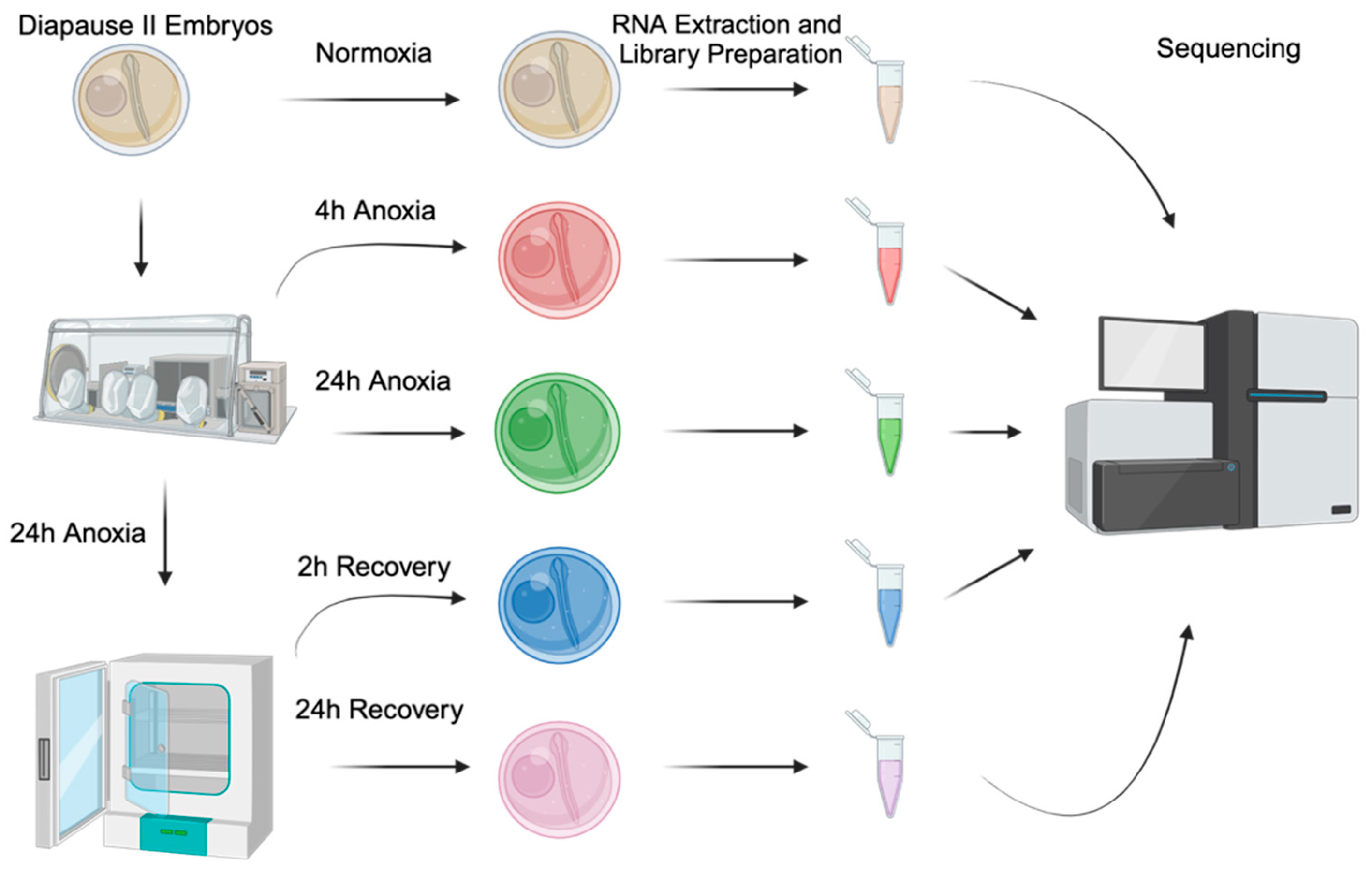 Biomolecules 15 00515 g001