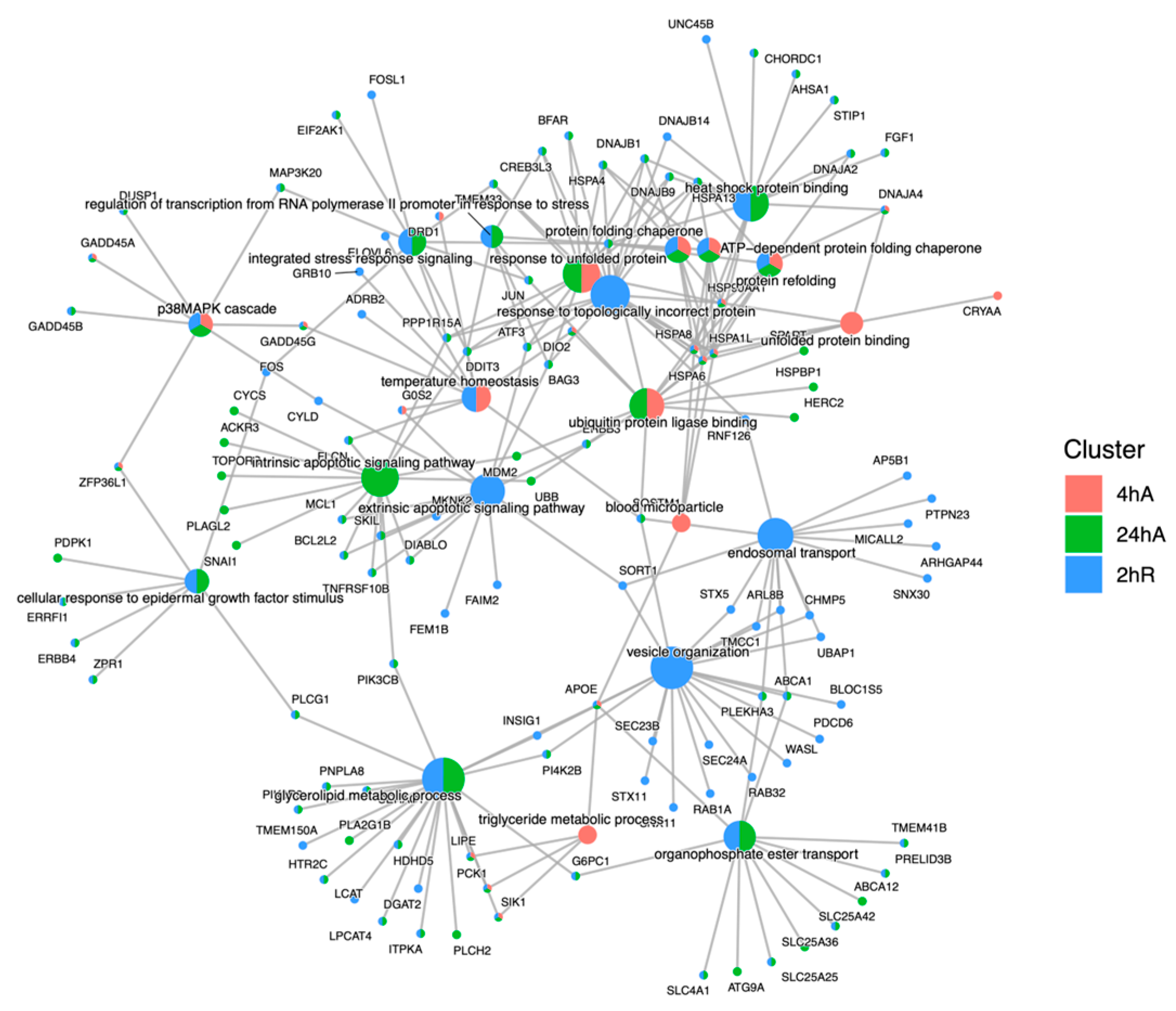 Biomolecules 15 00515 g008