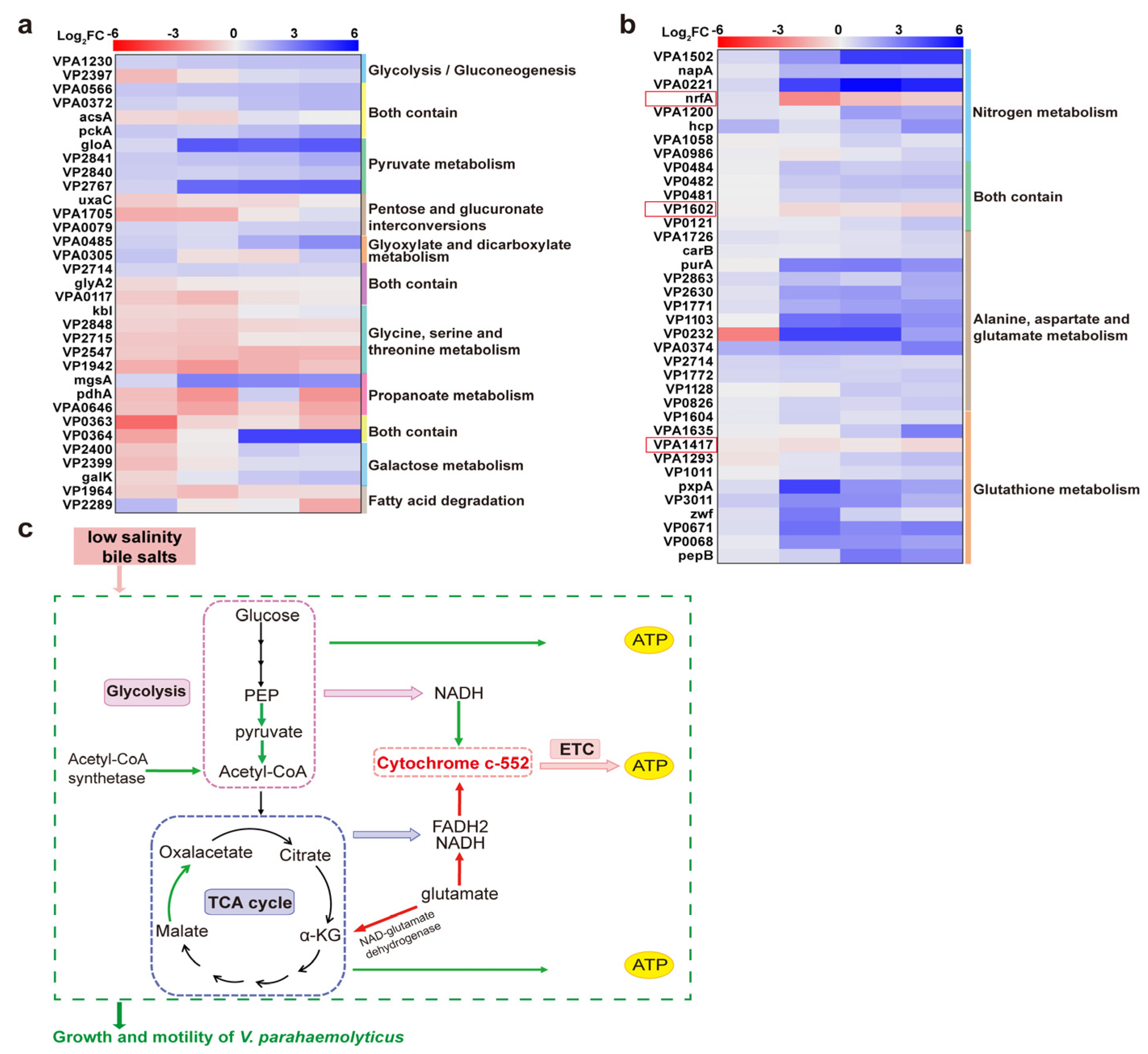 Biomolecules 15 00518 g007