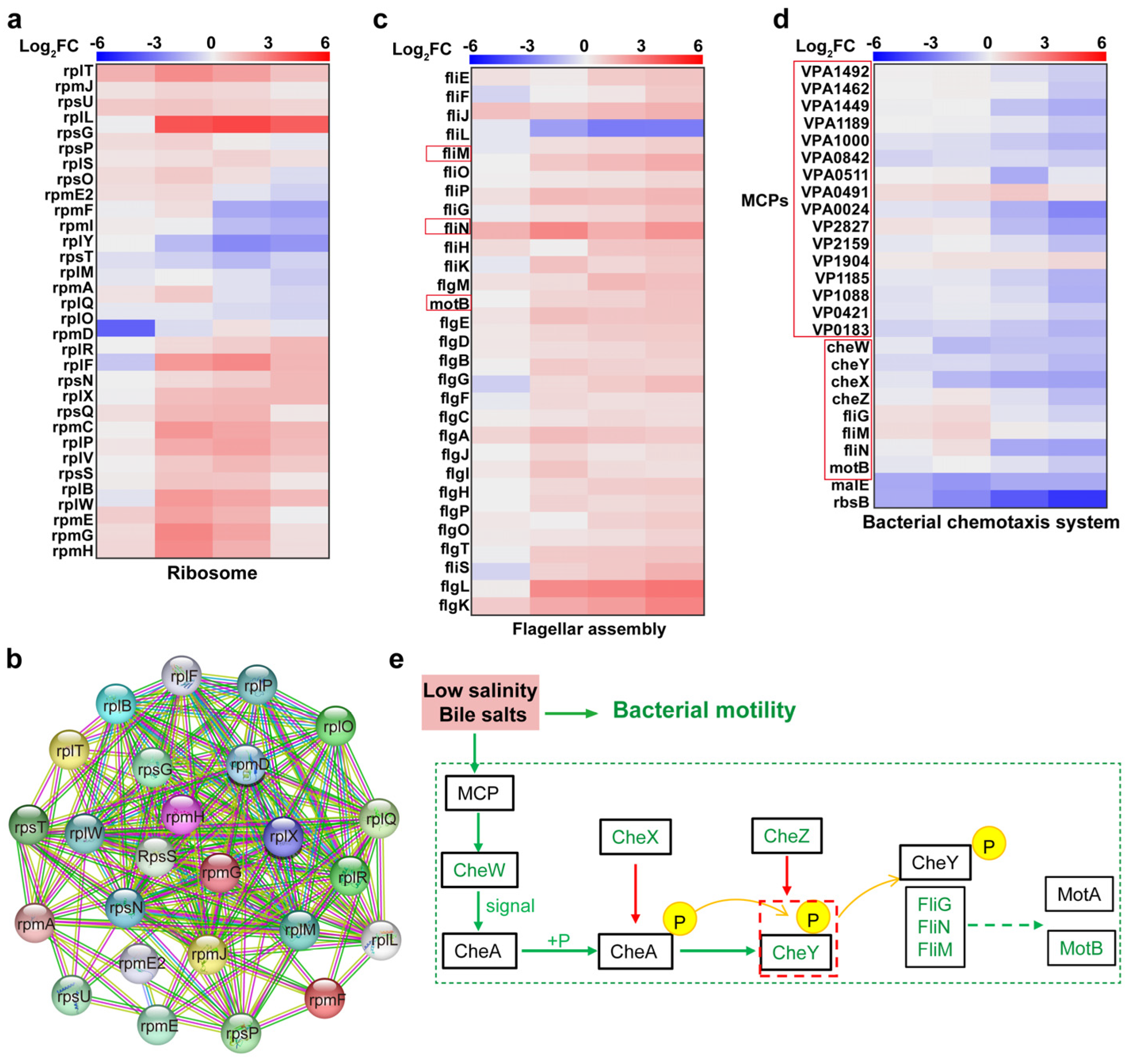 Biomolecules 15 00518 g008