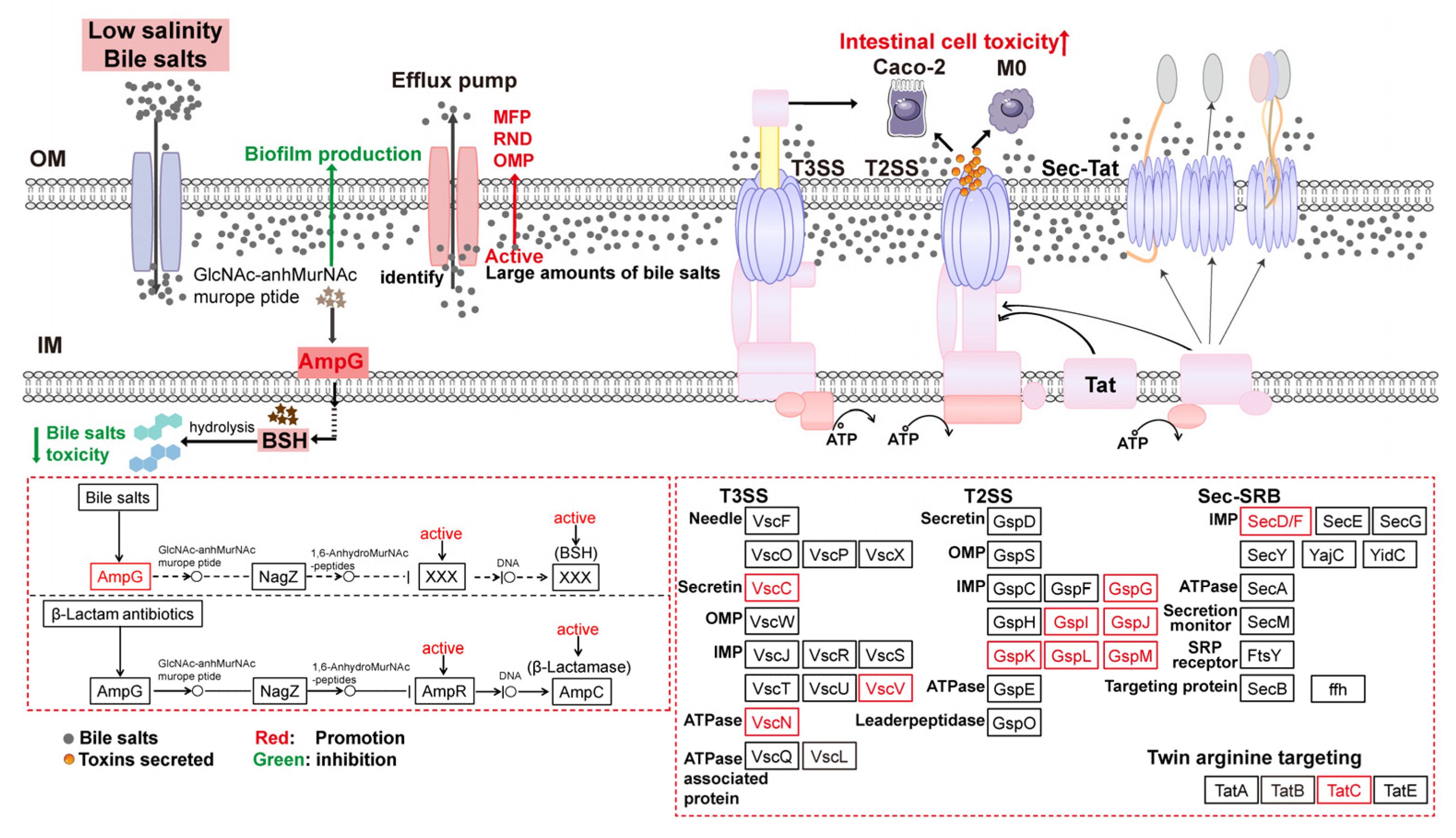 Biomolecules 15 00518 g009