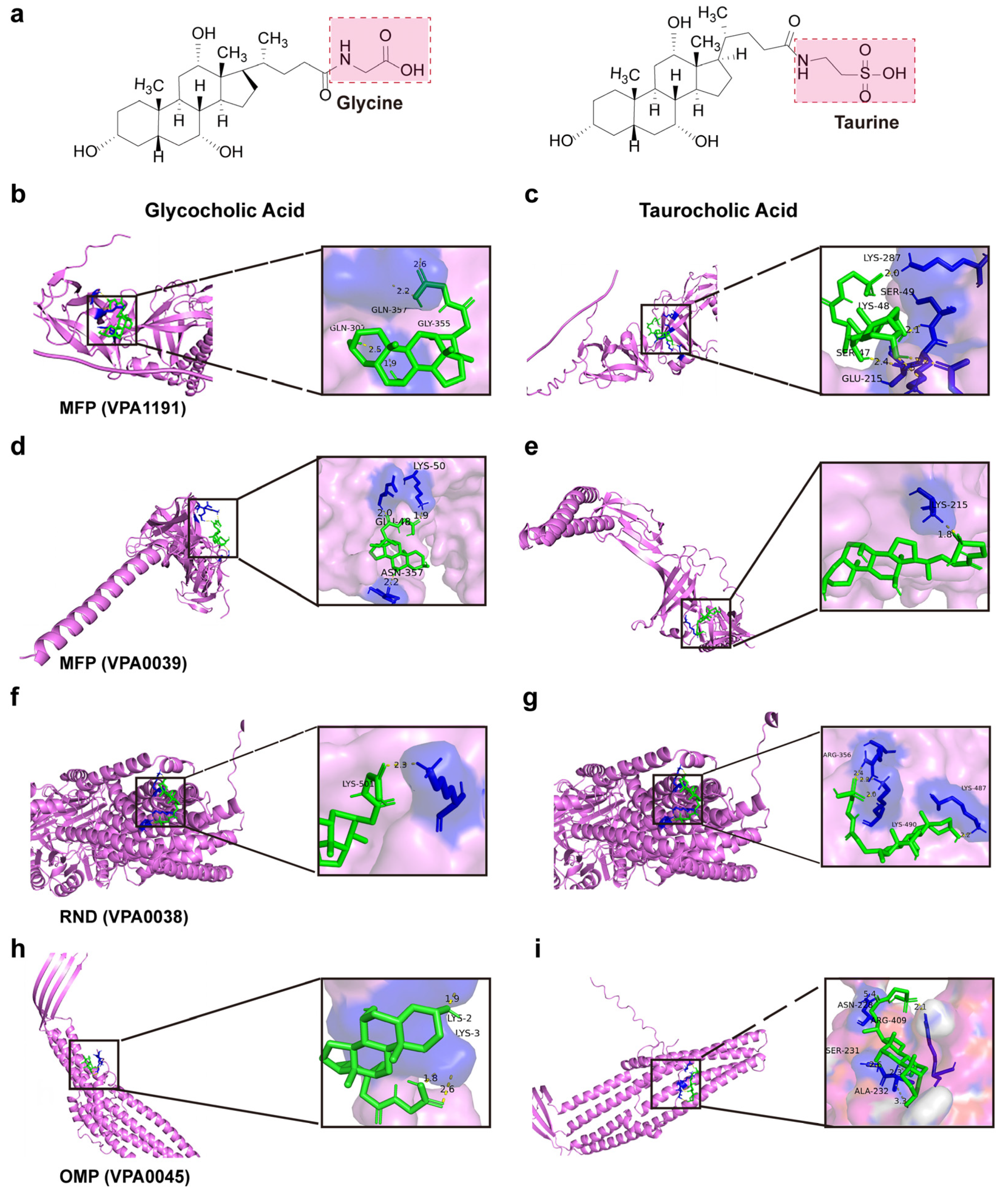 Biomolecules 15 00518 g010