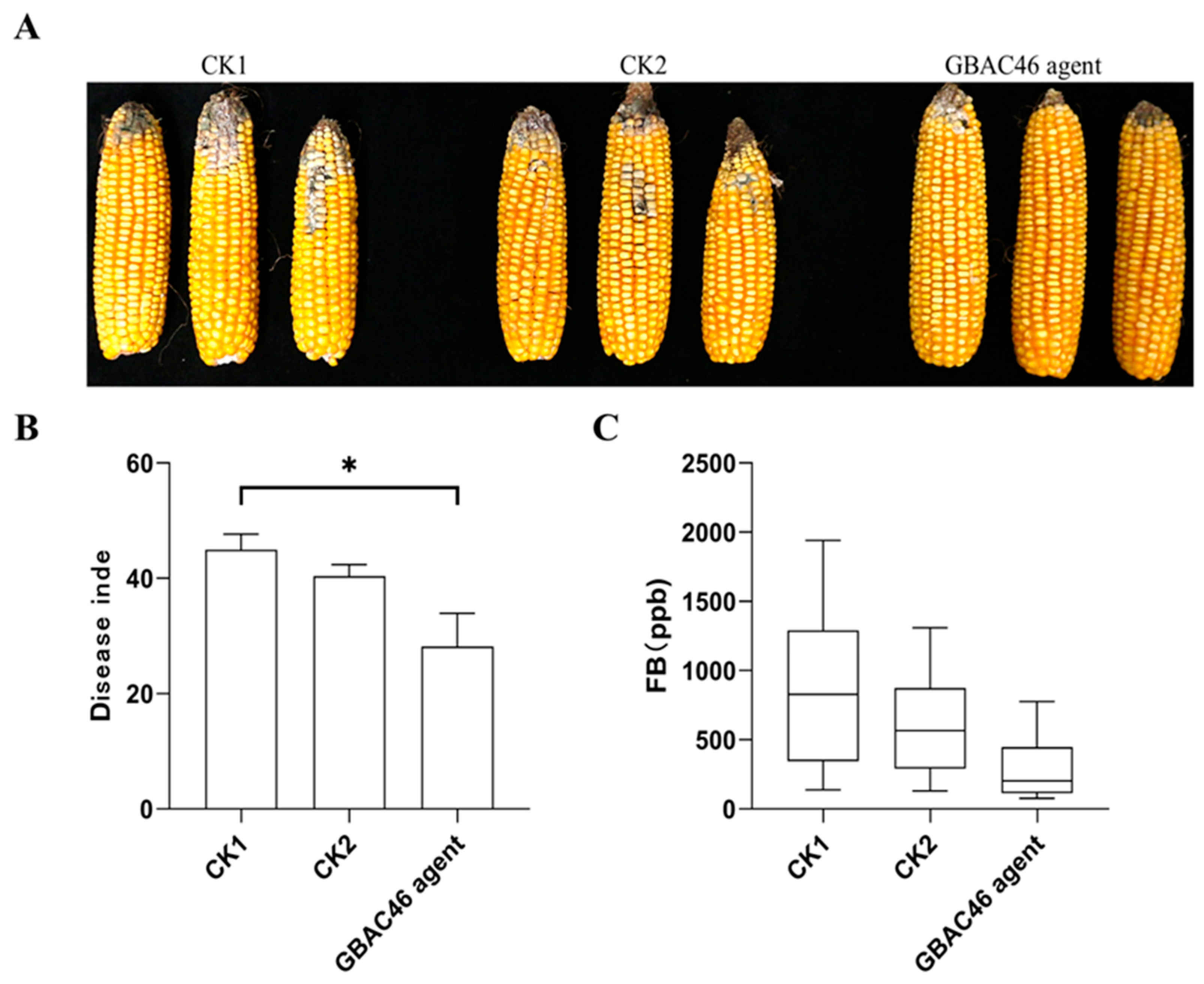 Biomolecules 15 00519 g006