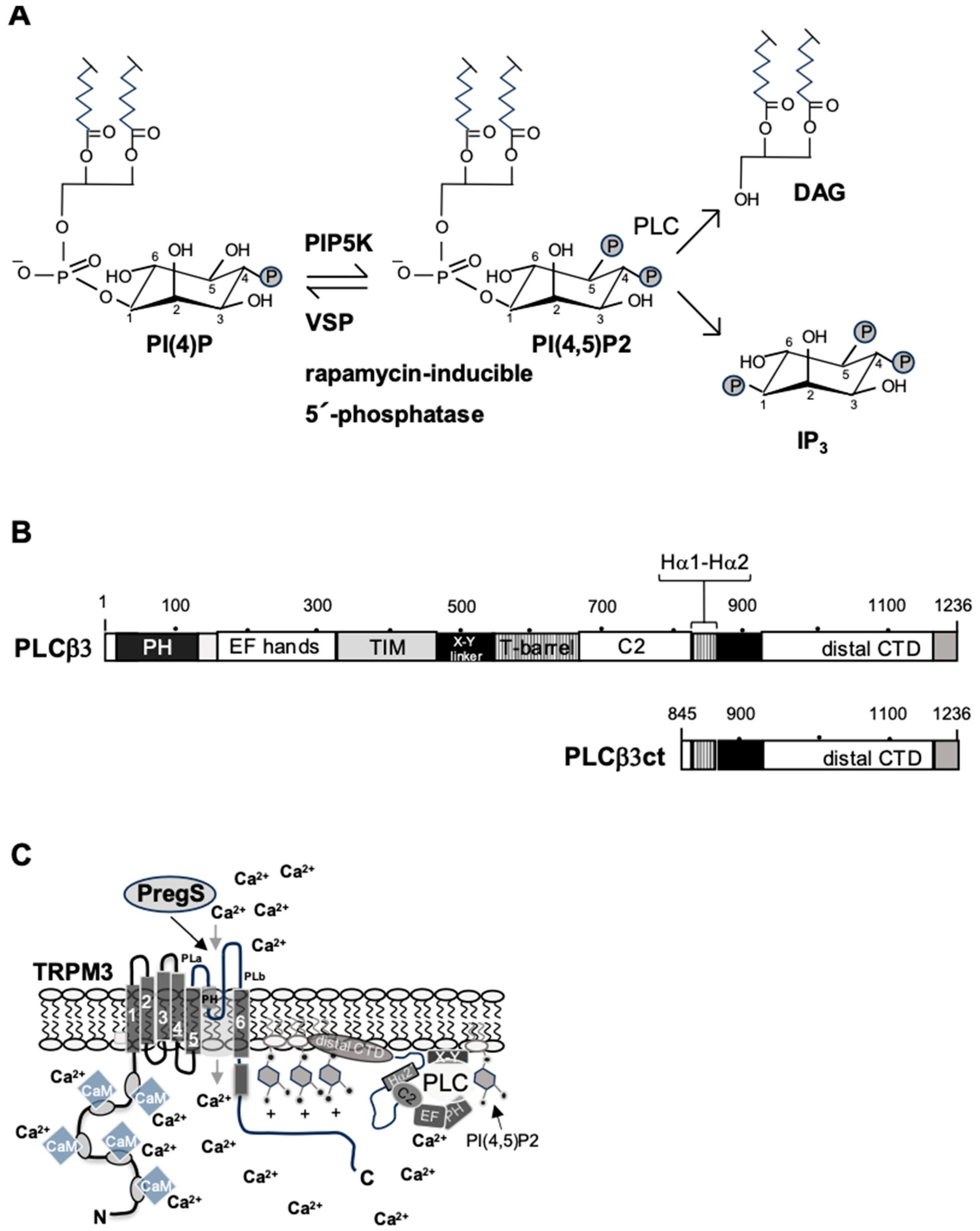 Biomolecules 15 00521 g003