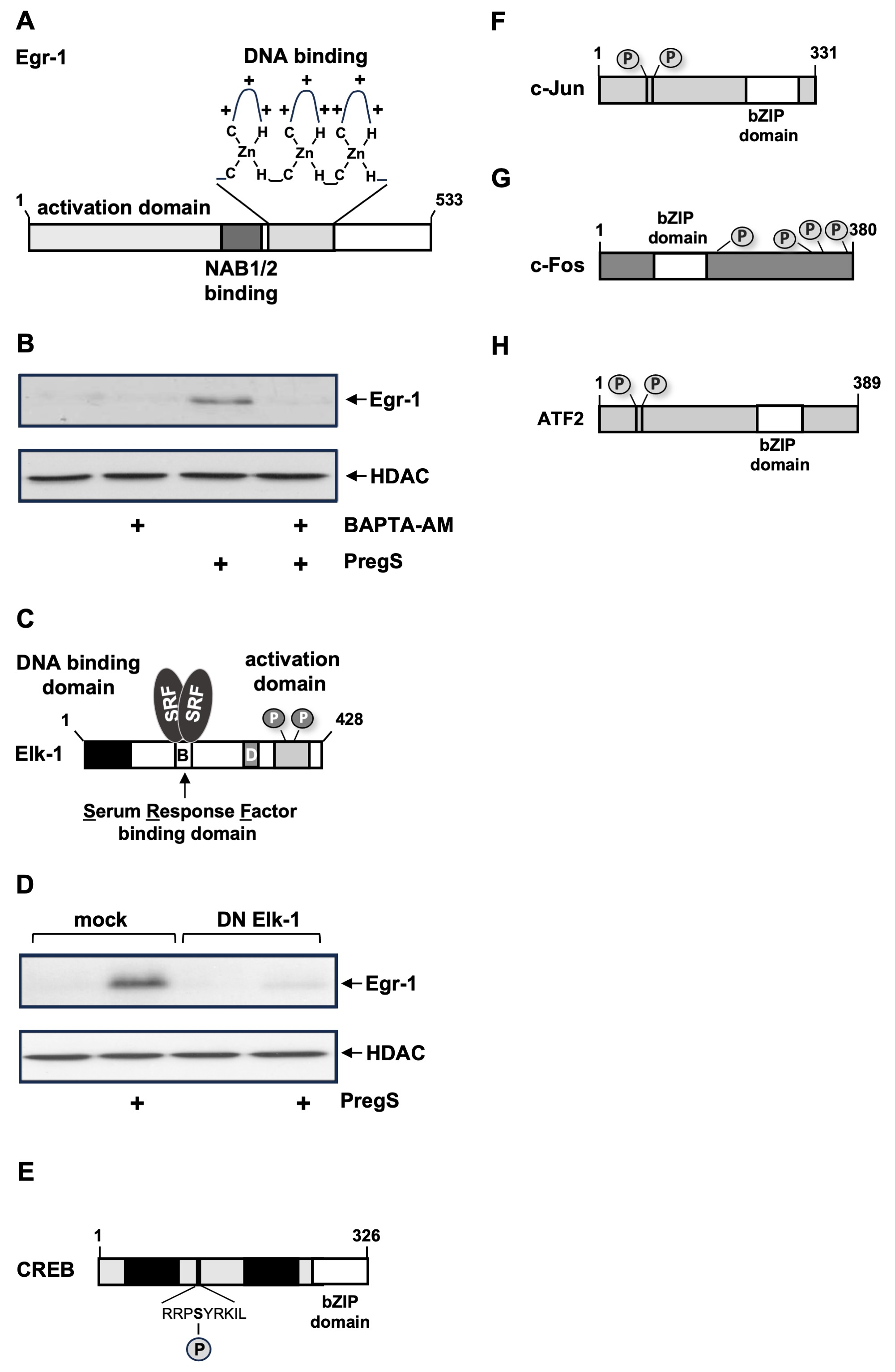 Biomolecules 15 00521 g005