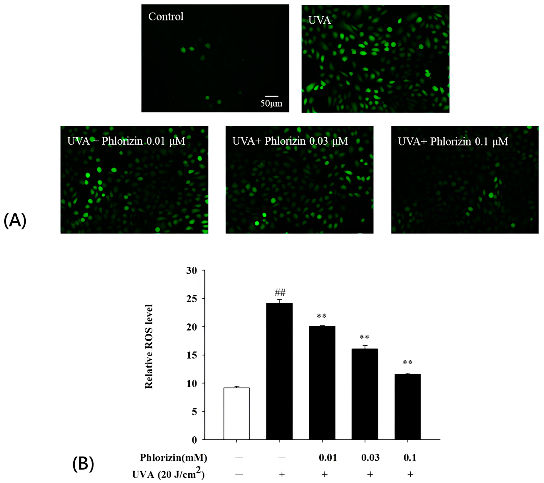 Biomolecules 15 00523 g002