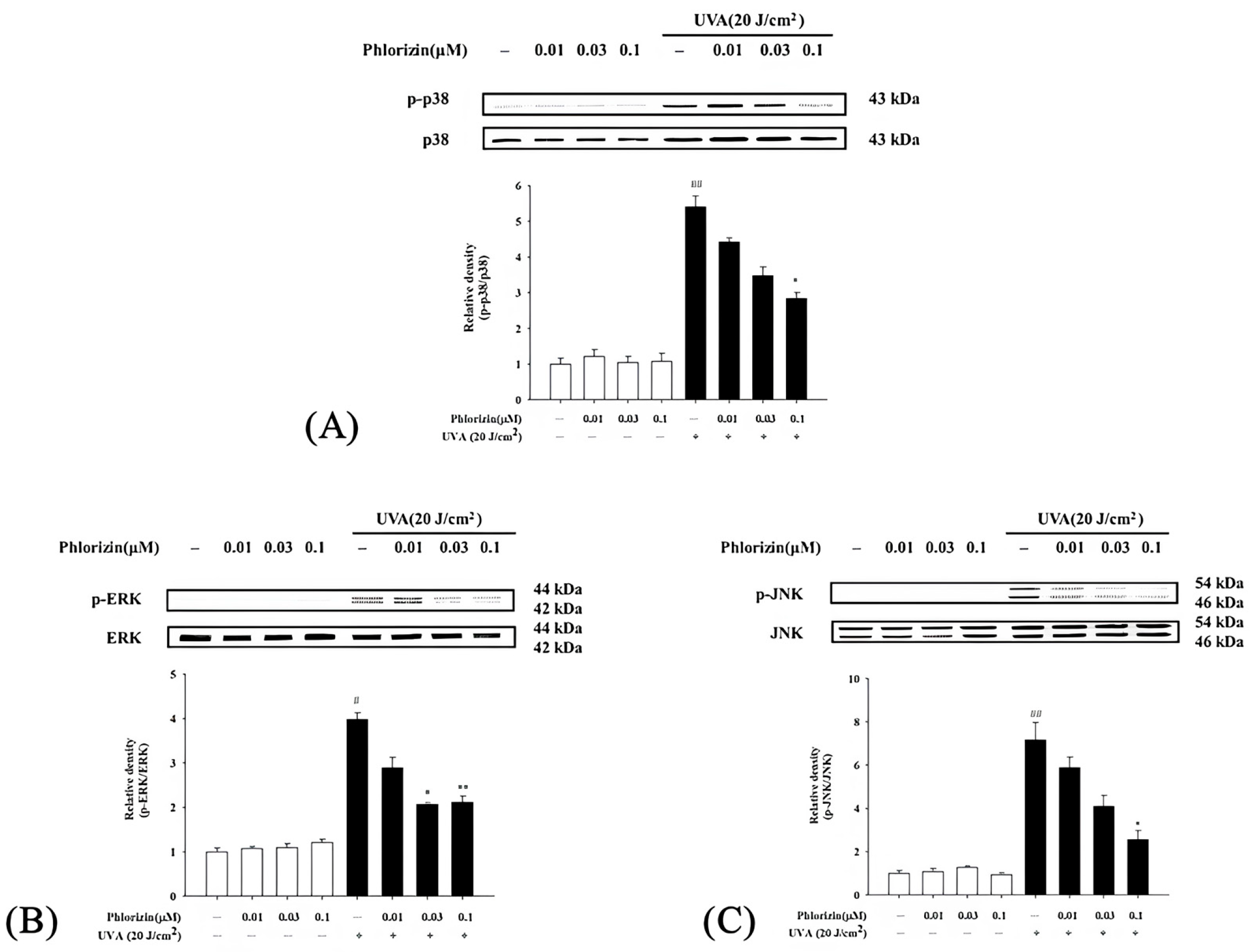 Biomolecules 15 00523 g003
