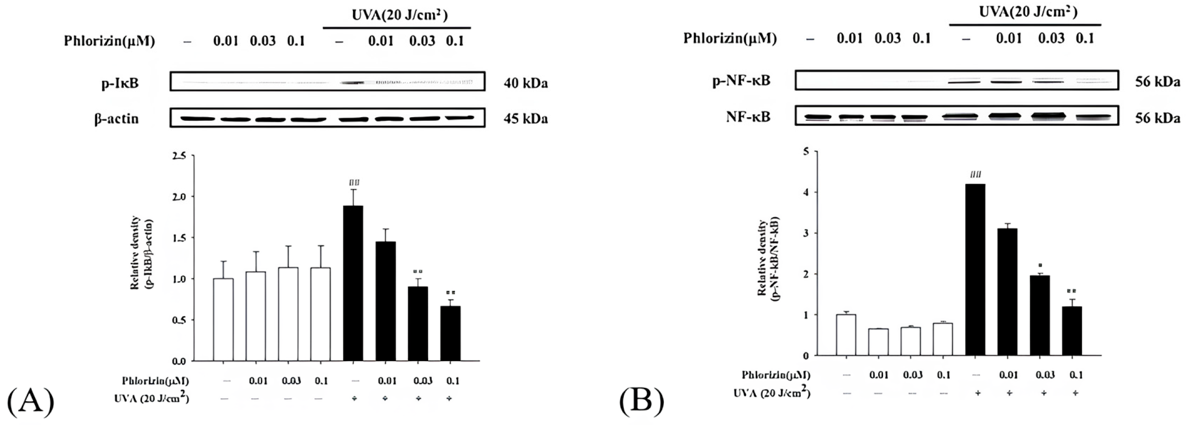 Biomolecules 15 00523 g005