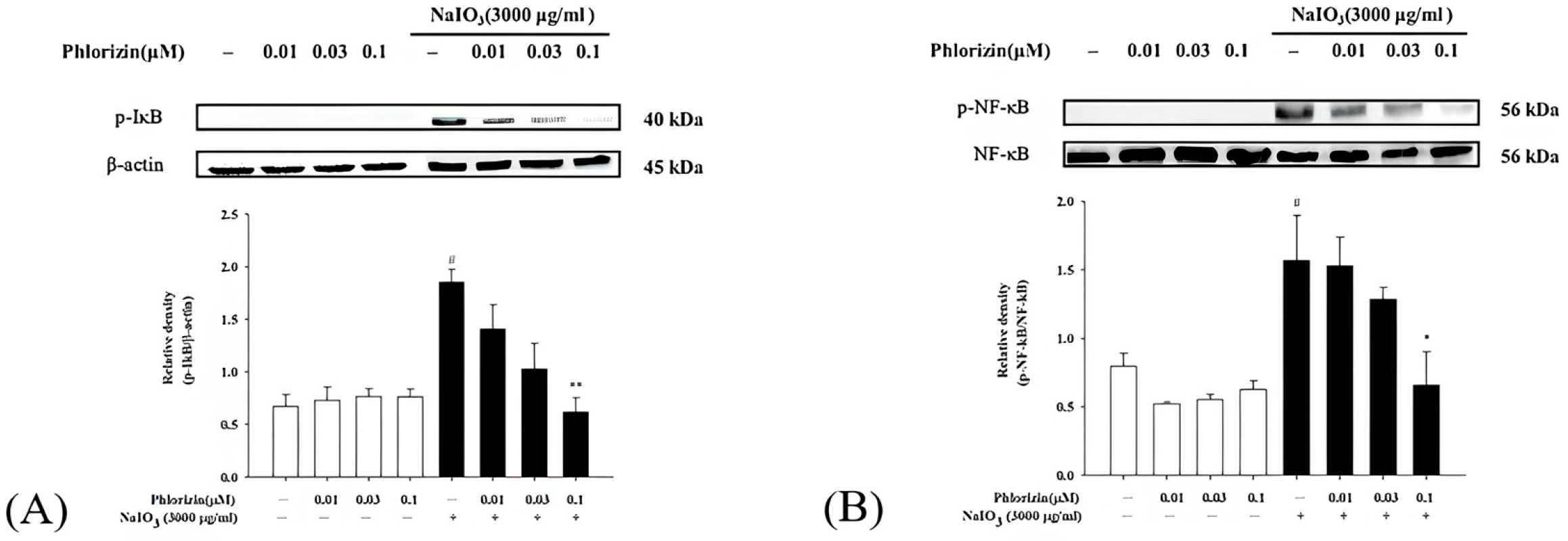 Biomolecules 15 00523 g006