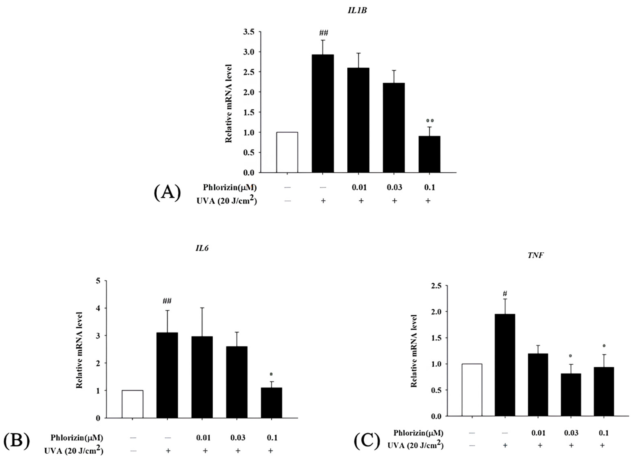 Biomolecules 15 00523 g007