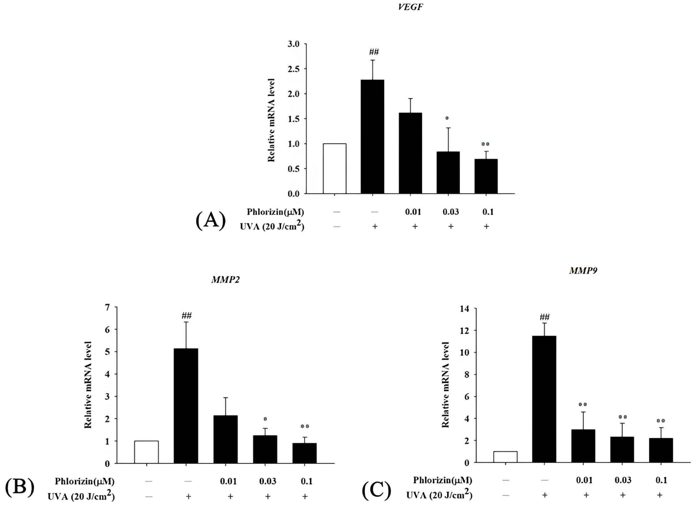 Biomolecules 15 00523 g009