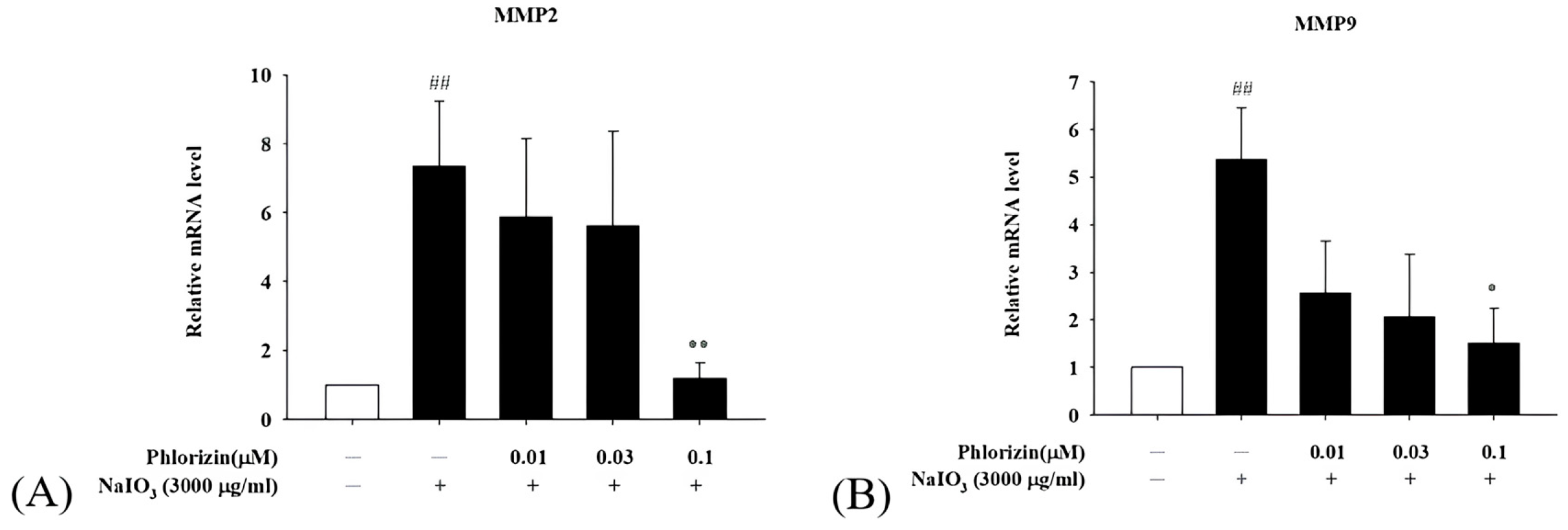 Biomolecules 15 00523 g010