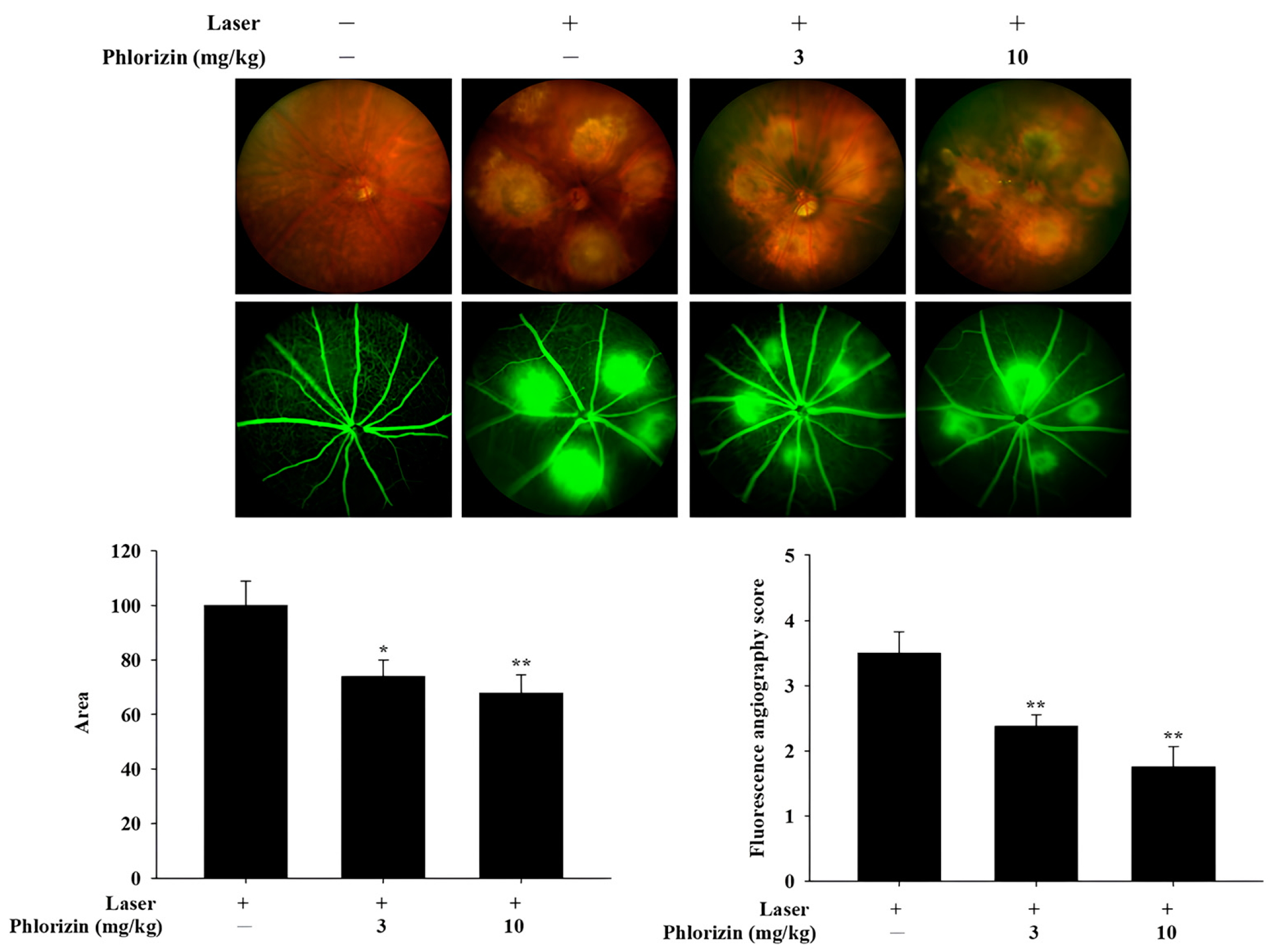 Biomolecules 15 00523 g011