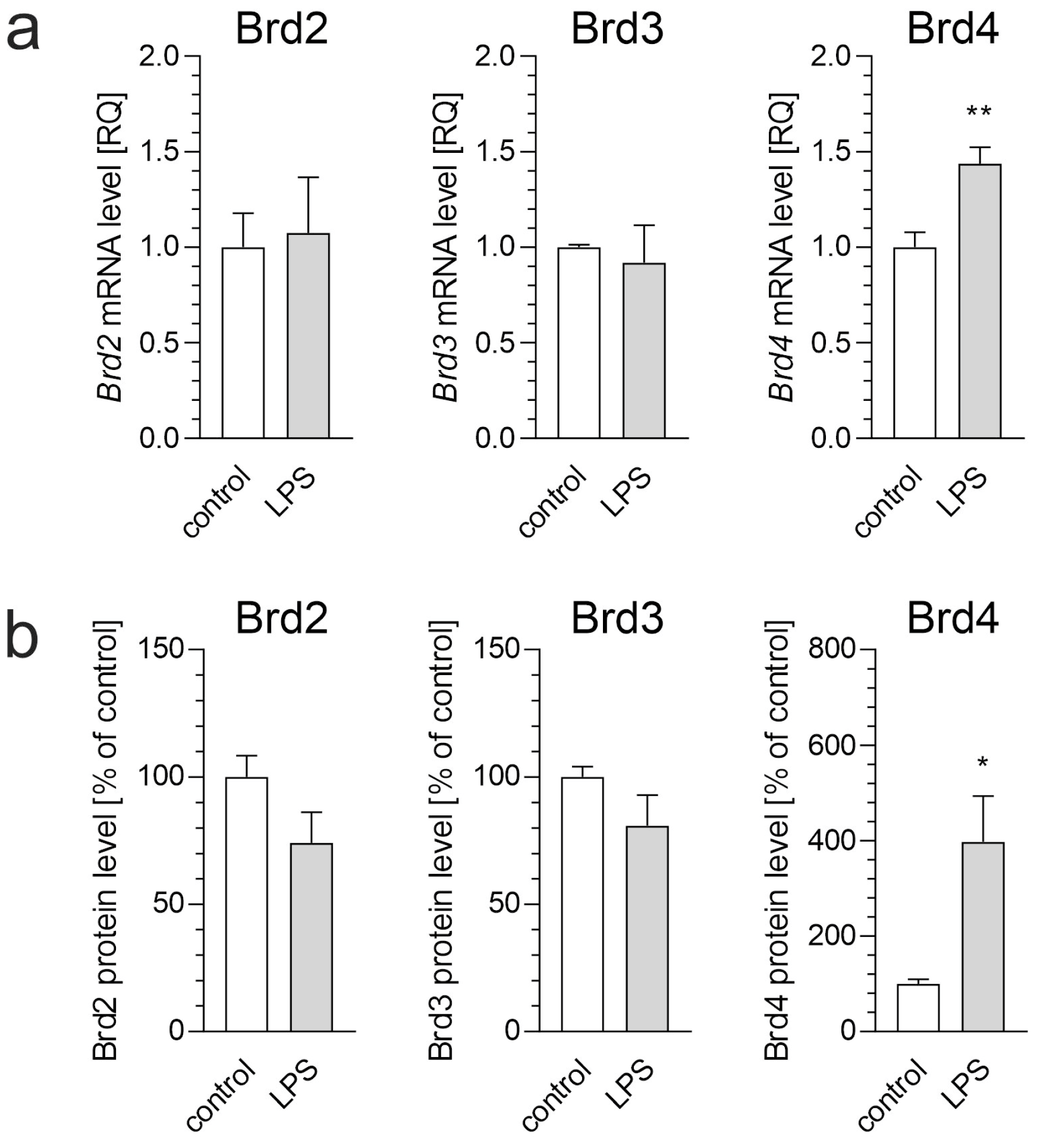 Biomolecules 15 00528 g001