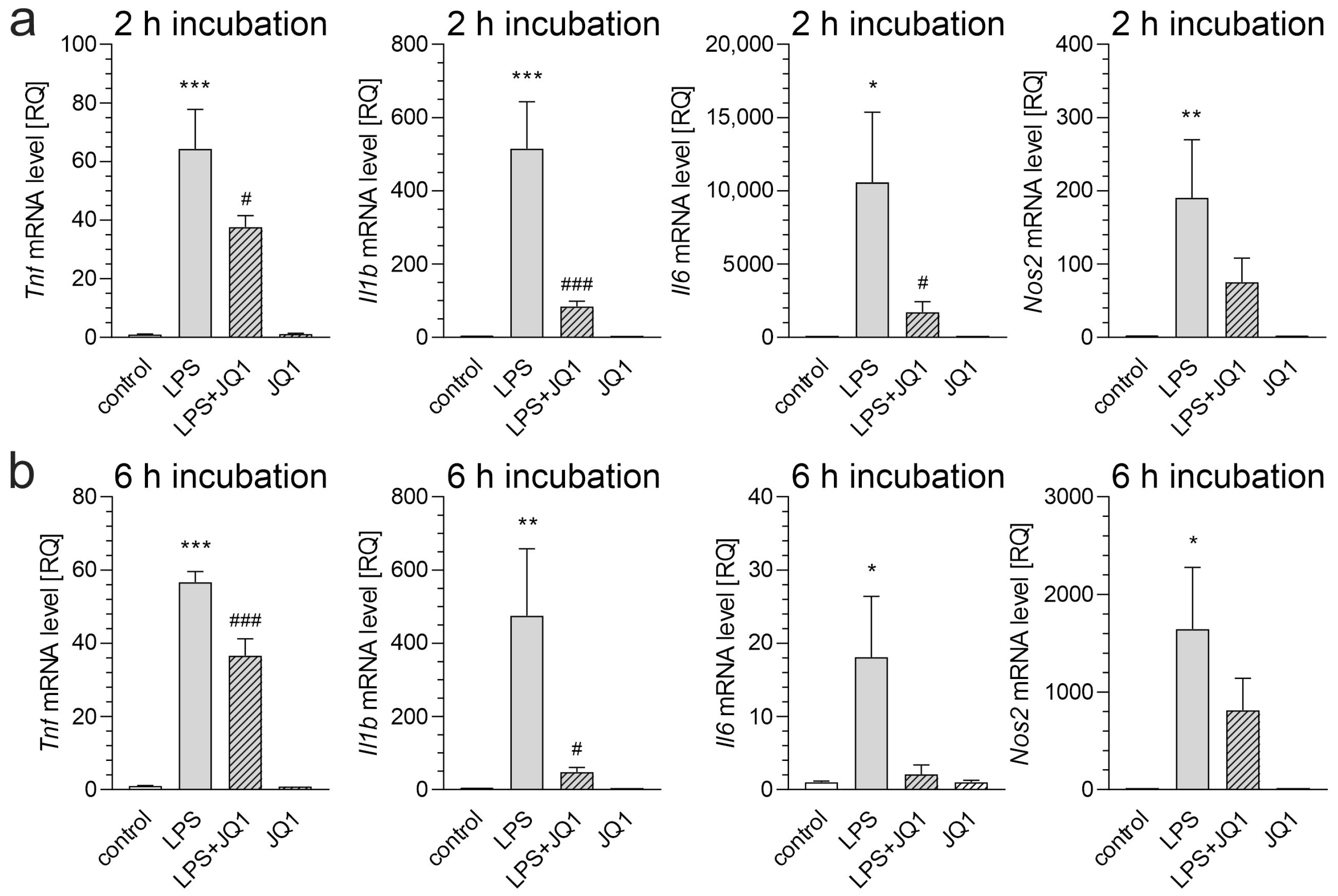 Biomolecules 15 00528 g002