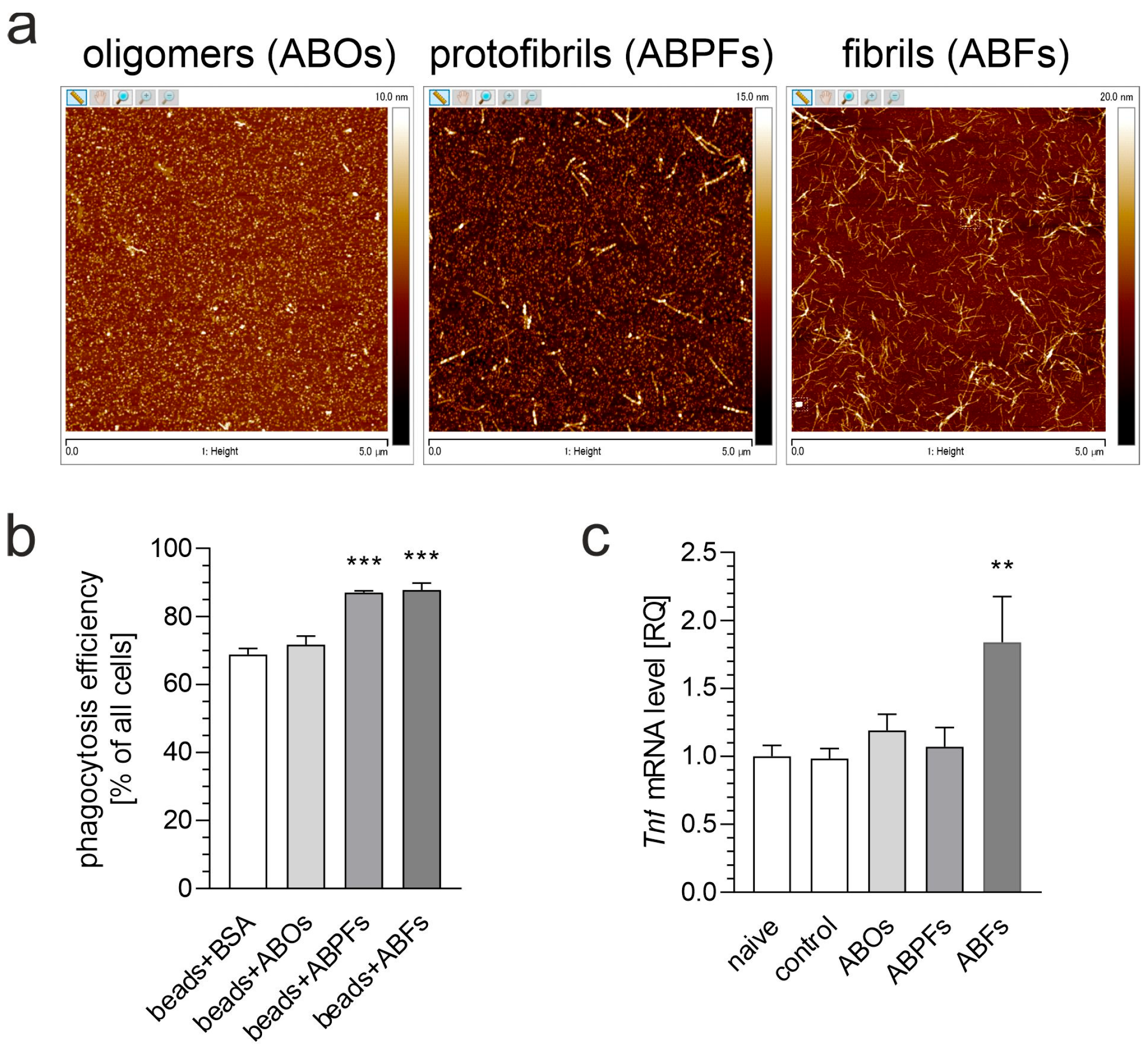 Biomolecules 15 00528 g004