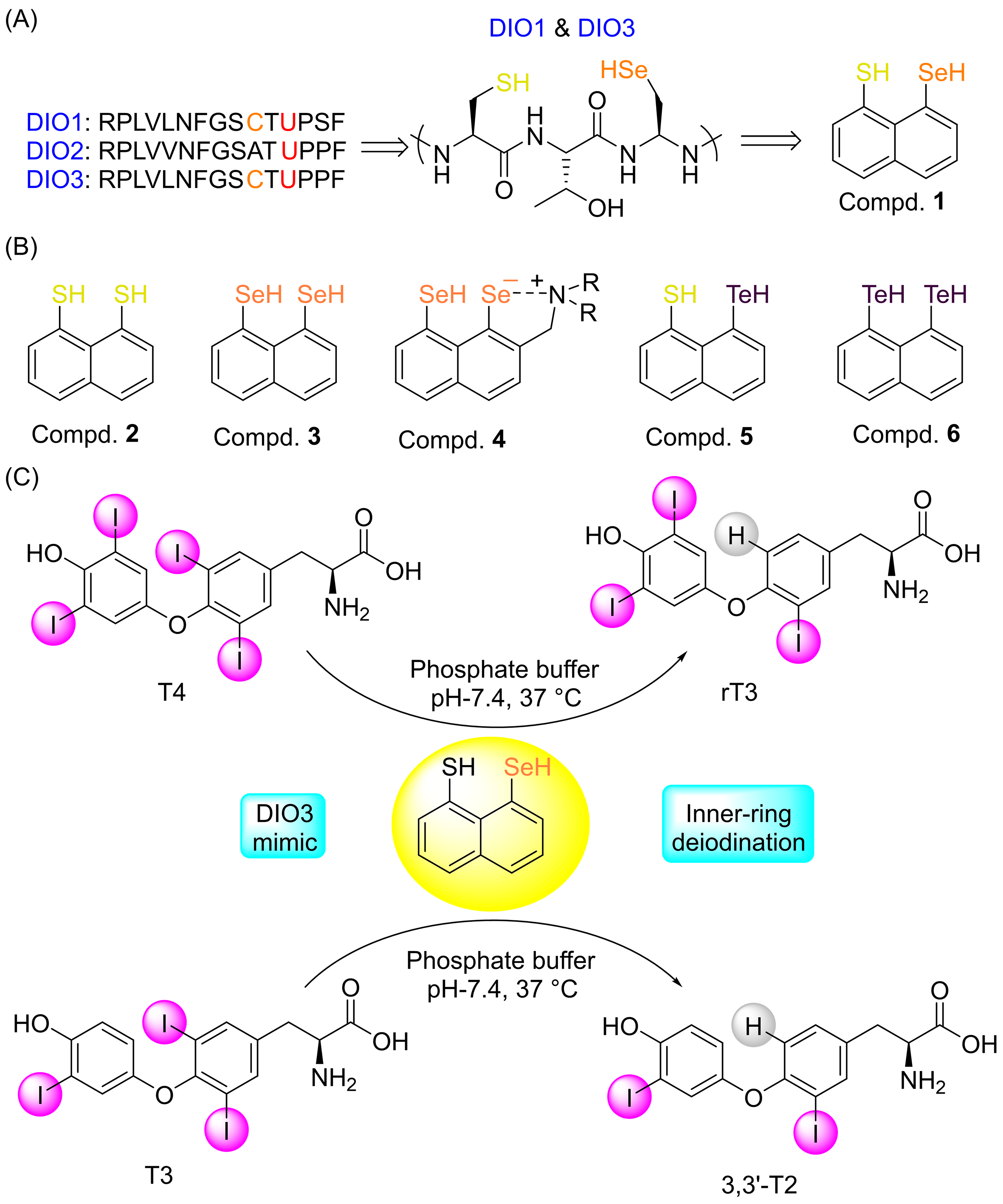 Biomolecules 15 00529 g001