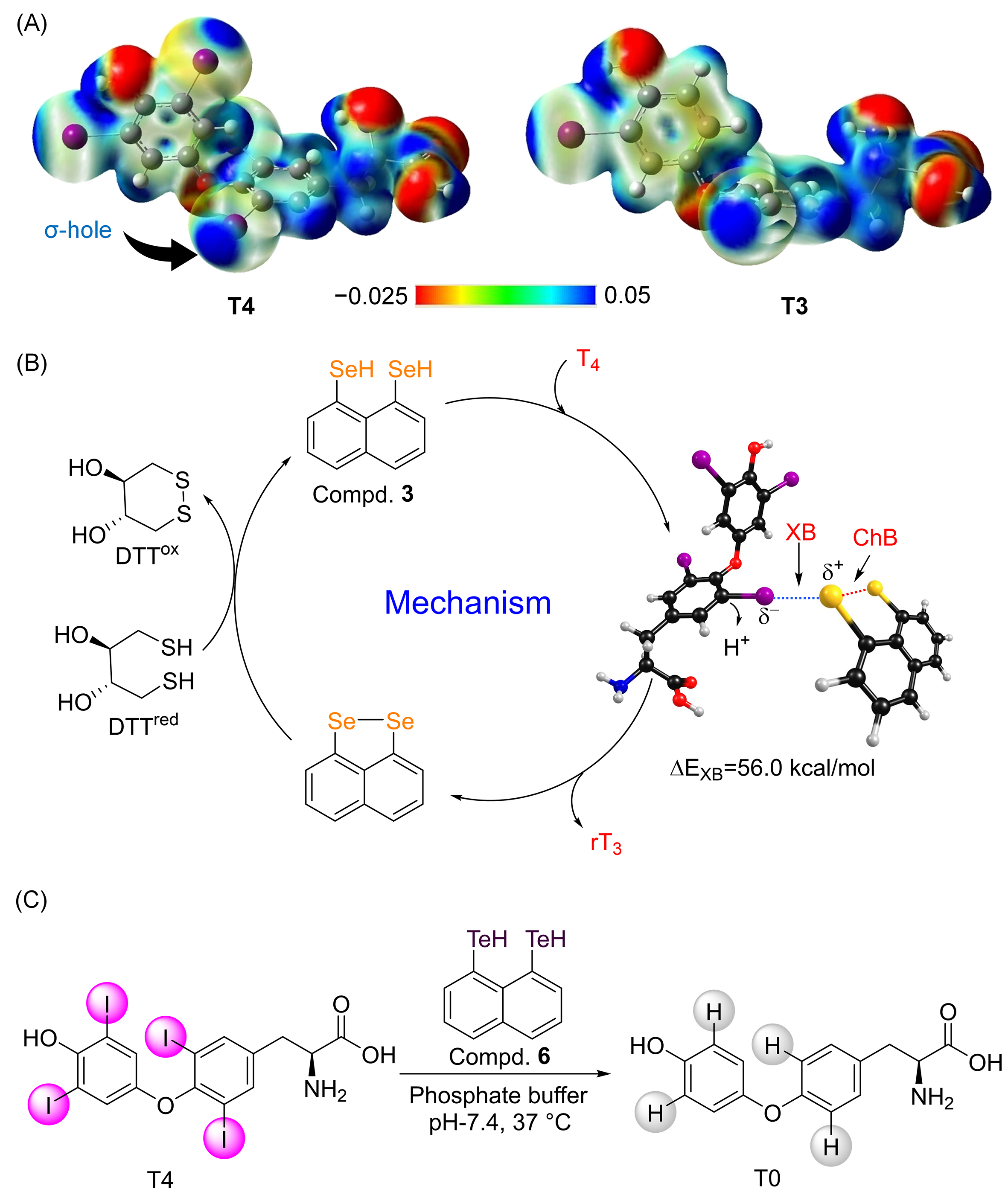 Biomolecules 15 00529 g002