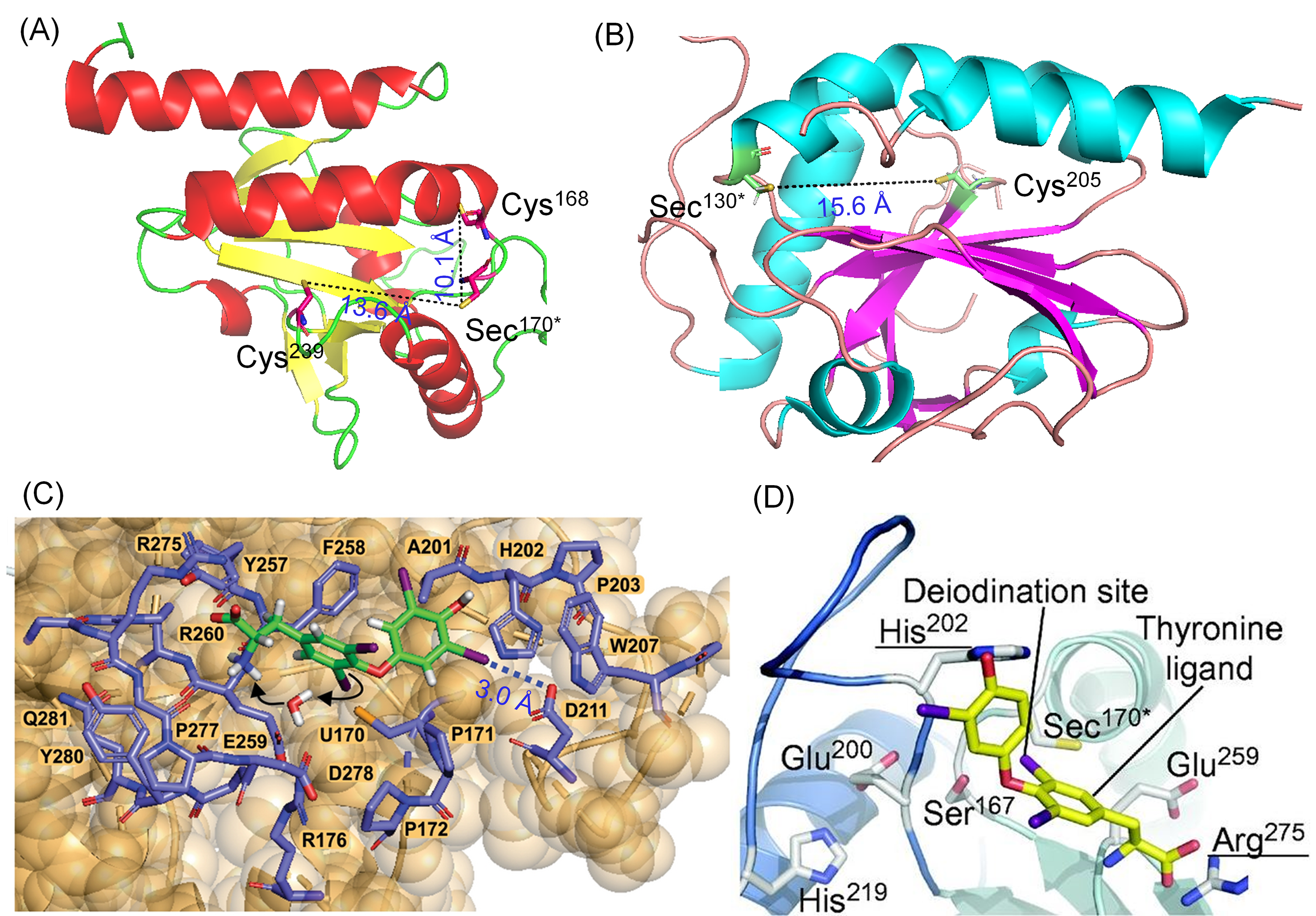 Biomolecules 15 00529 g004