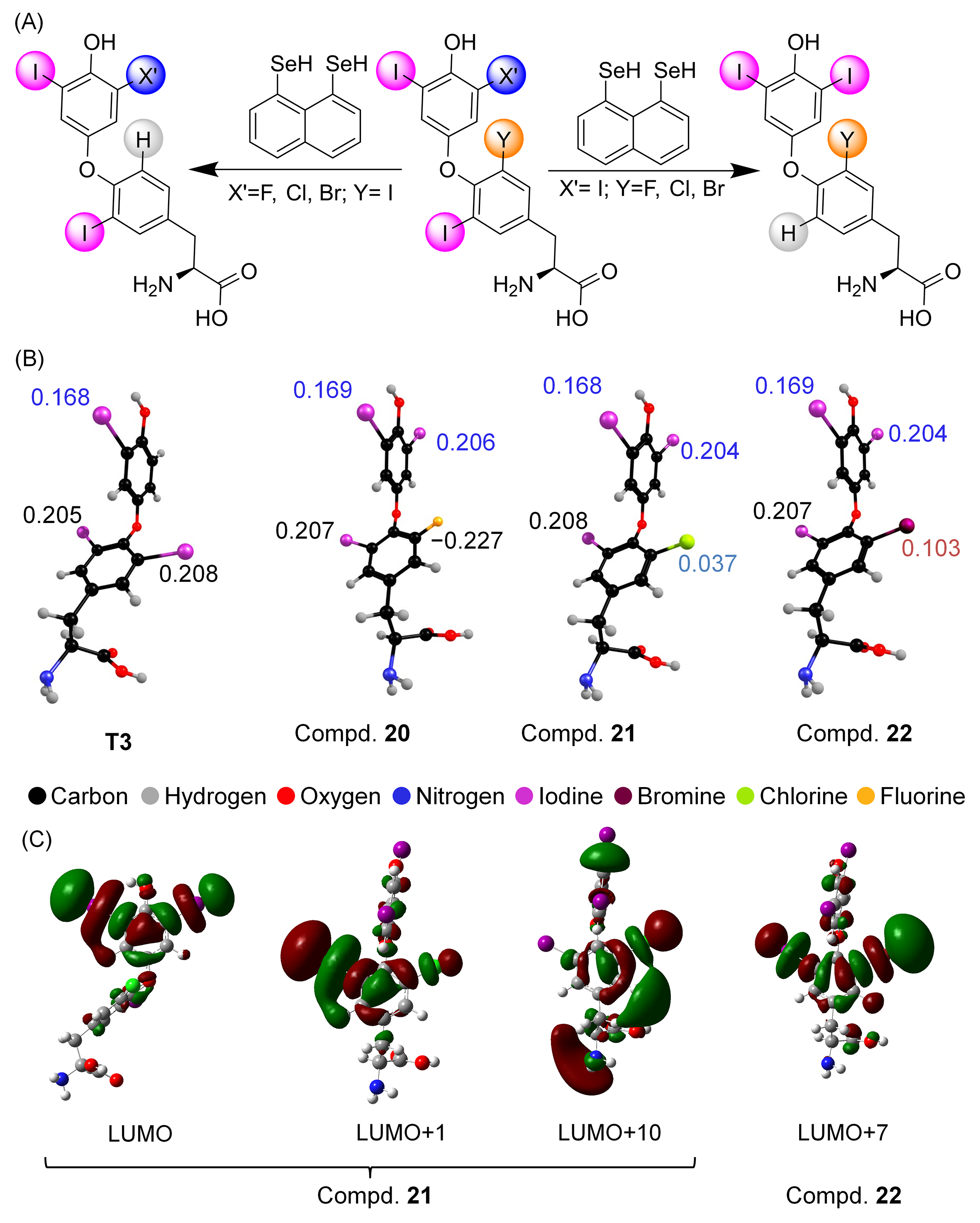 Biomolecules 15 00529 g007