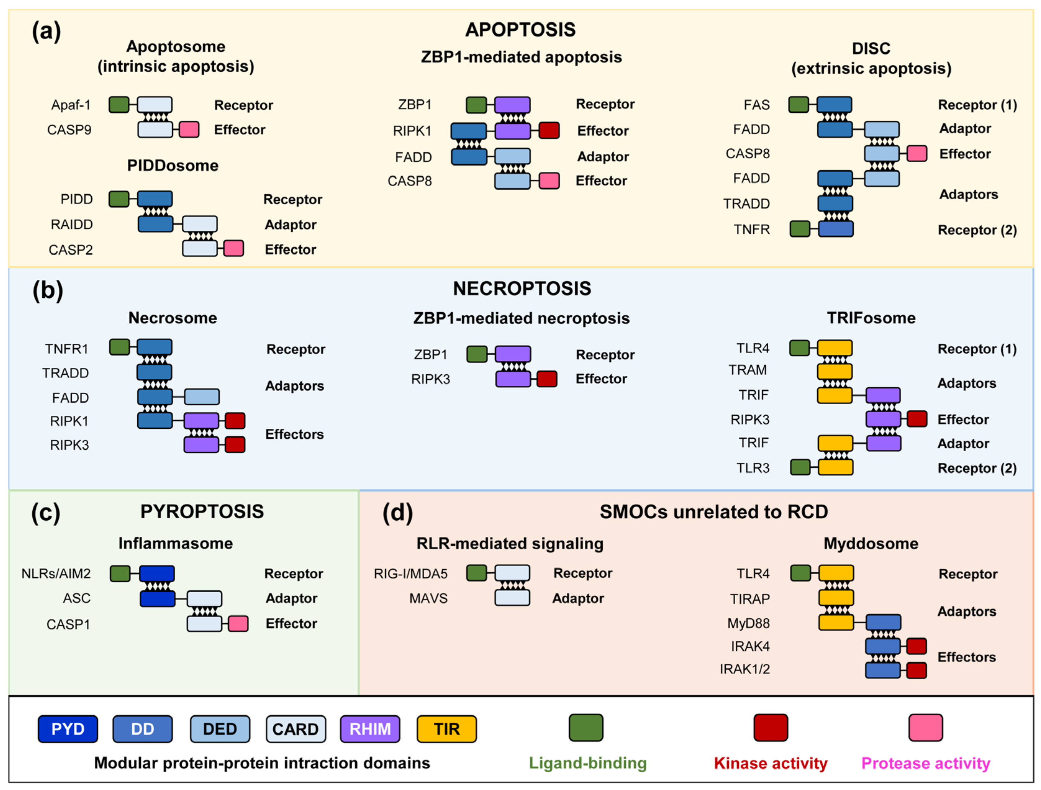 Biomolecules 15 00530 g001
