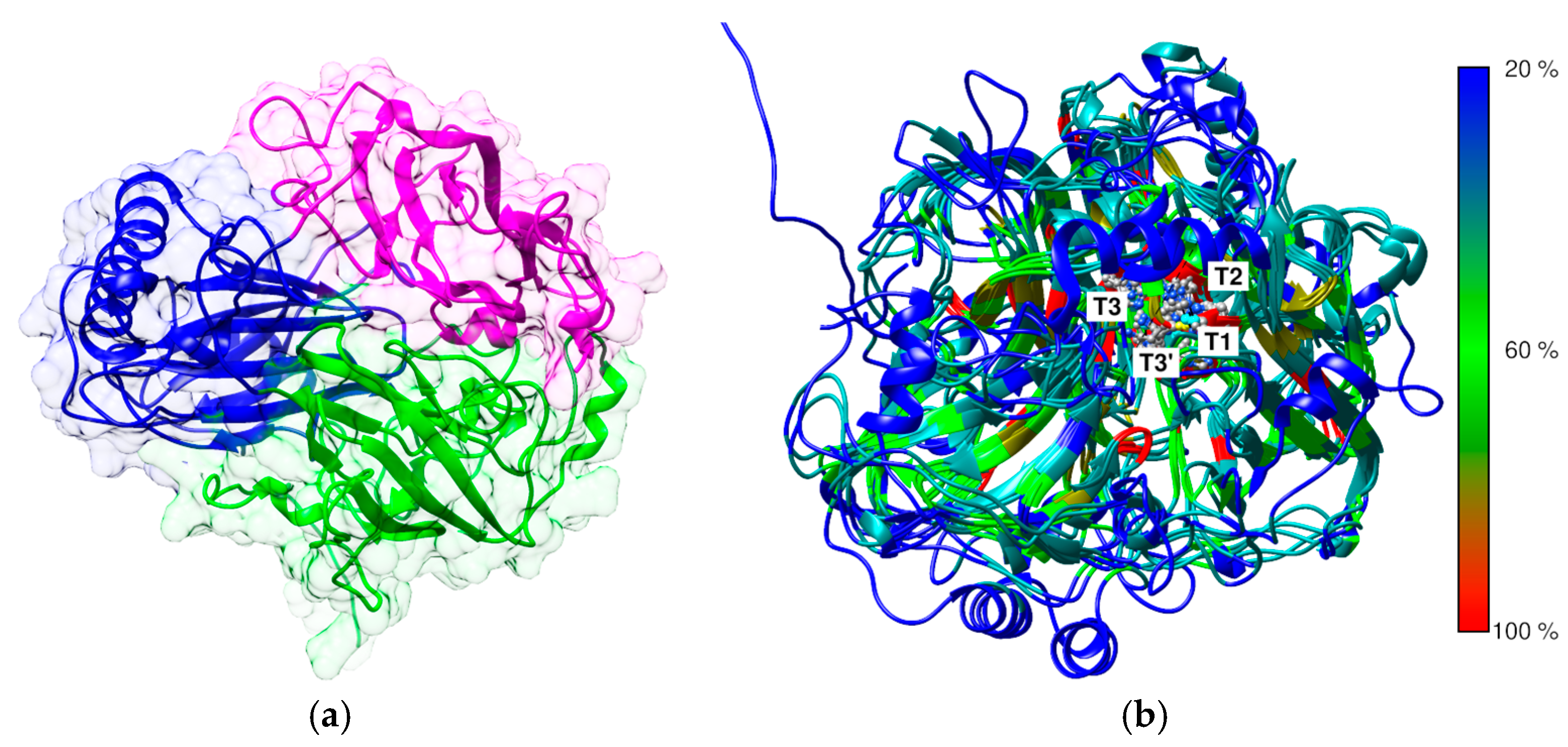 Biomolecules 15 00531 g002 Biomolecules 15 00531 g002